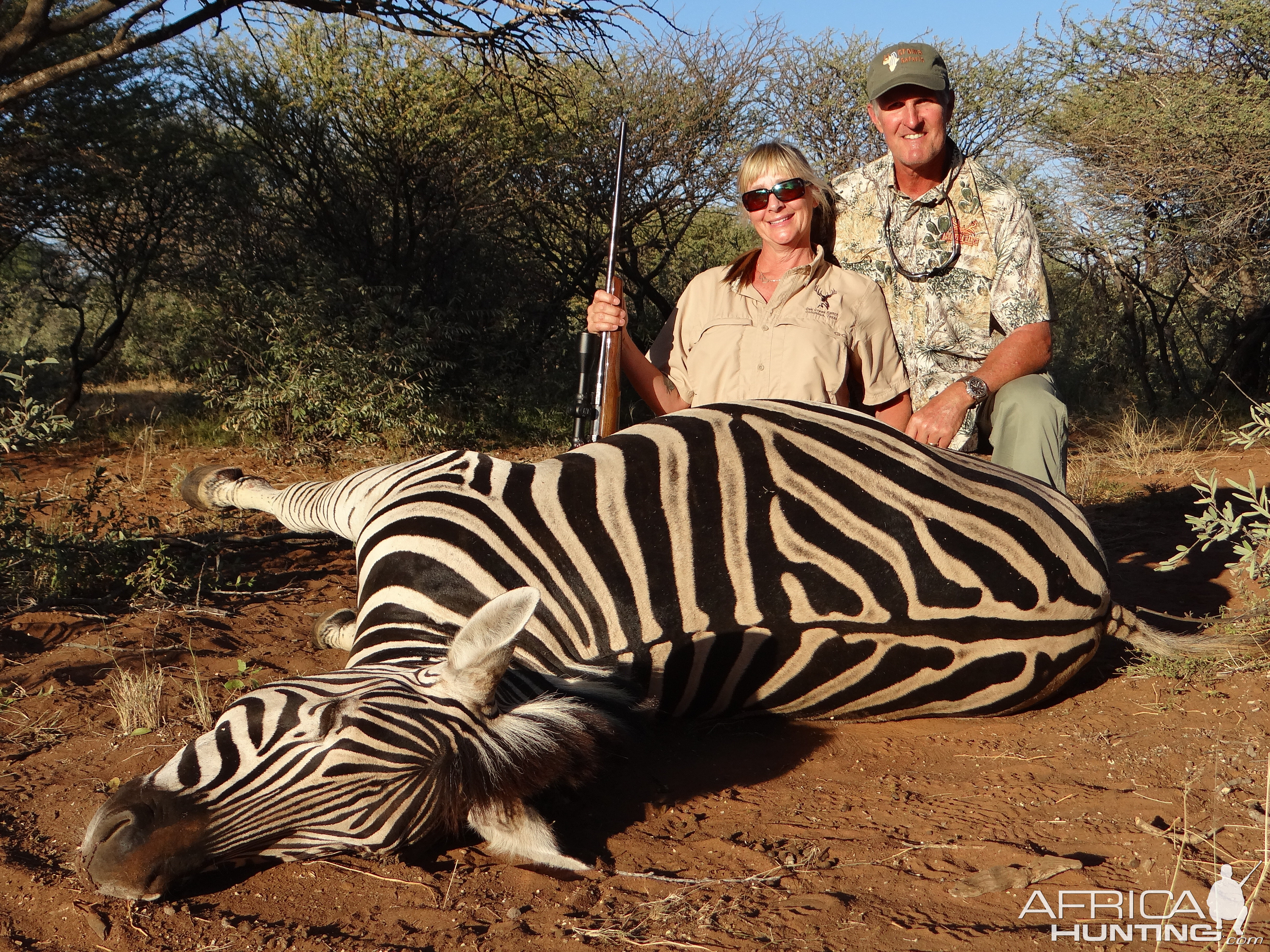 Burchell's Plain Zebra Hunt South Africa