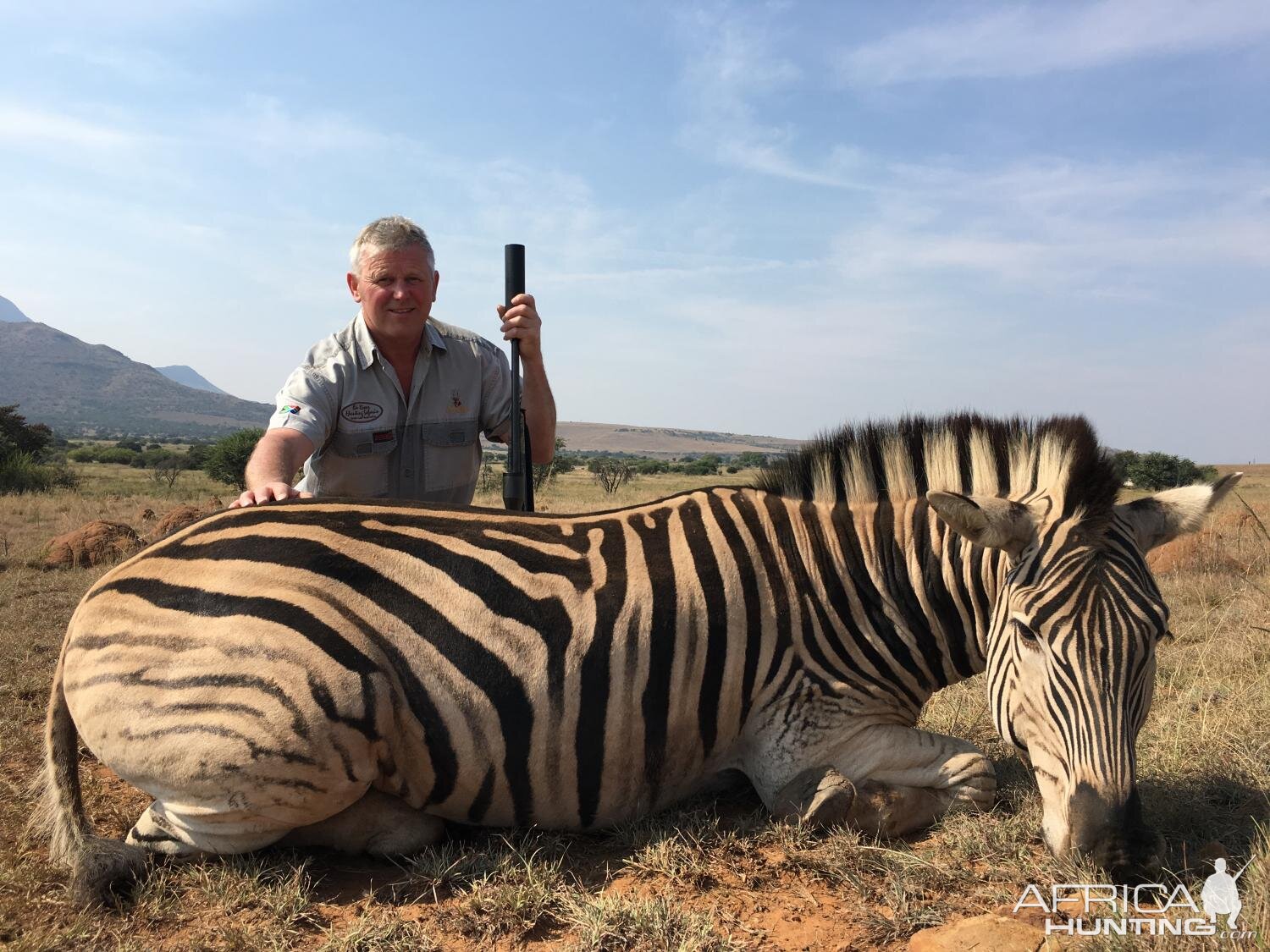 Burchell's Plain Zebra Hunt South Africa