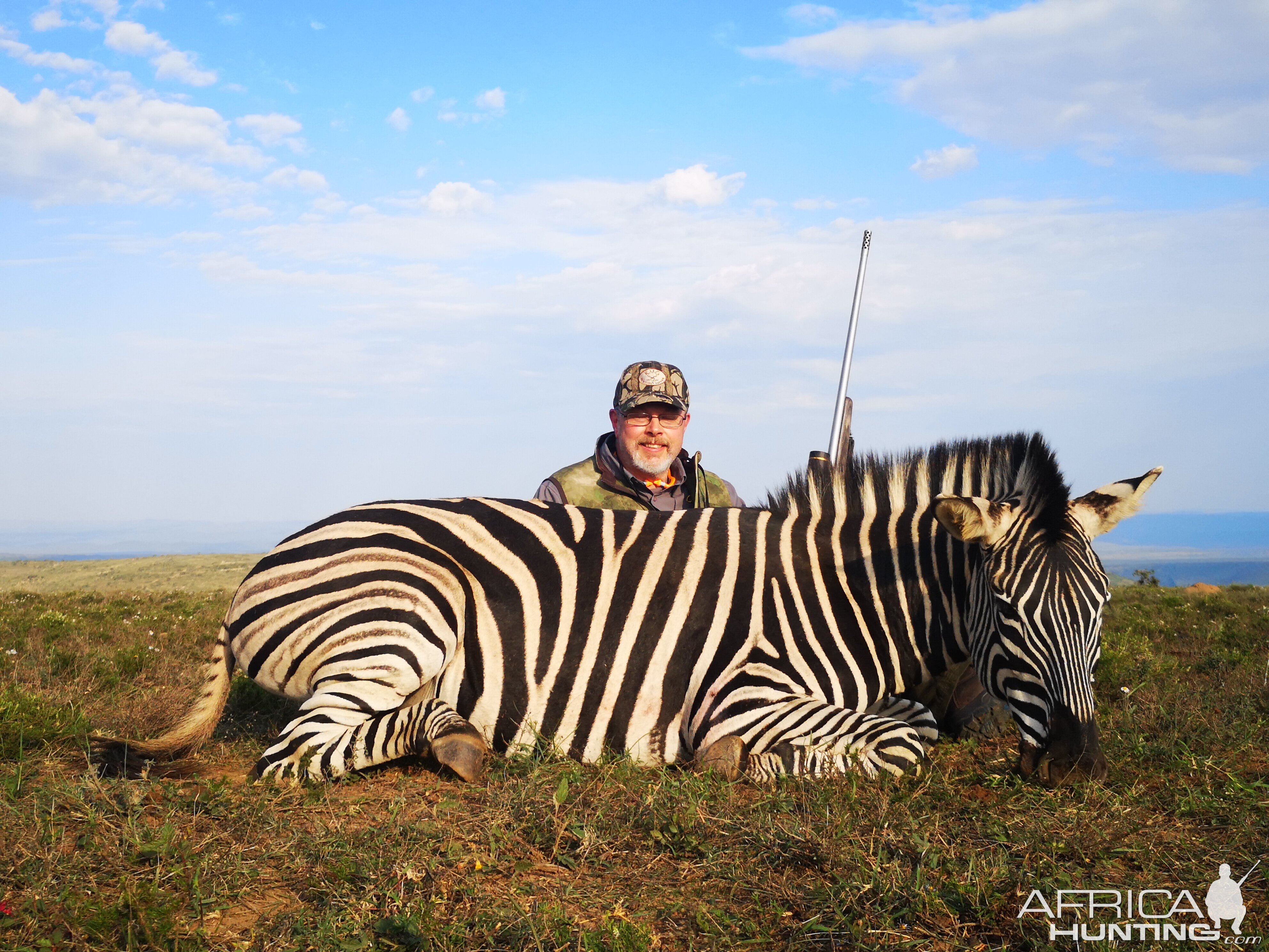 Burchell's Plain Zebra Hunt South Africa