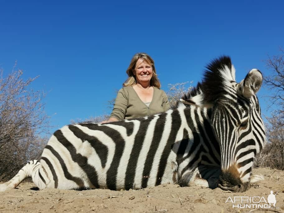 Burchell's Plain Zebra Hunting Botswana