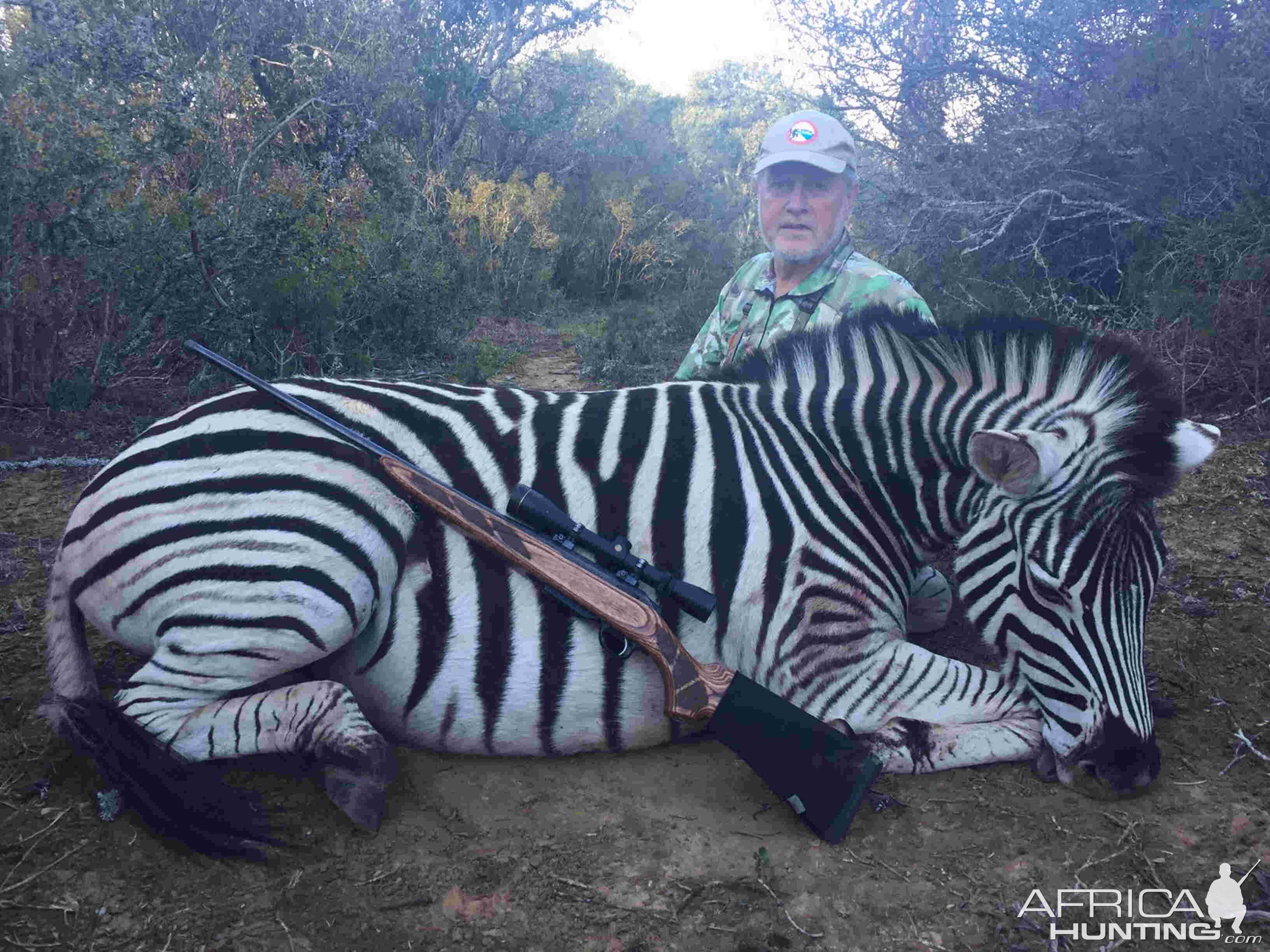 Burchell's Plain Zebra Hunting in South Africa