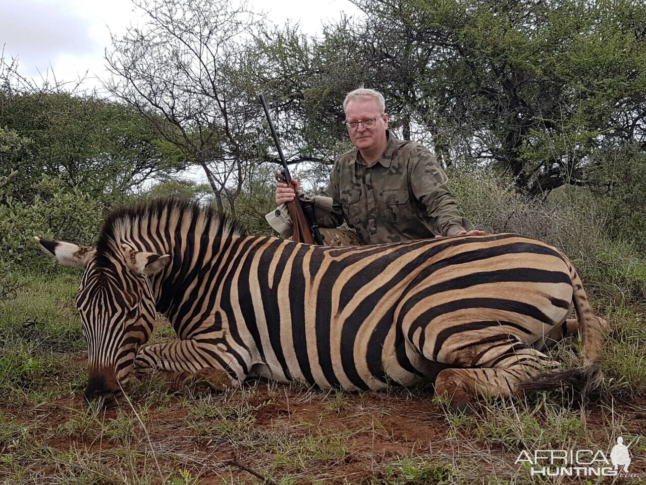 Burchell's Plain Zebra Hunting in South Africa