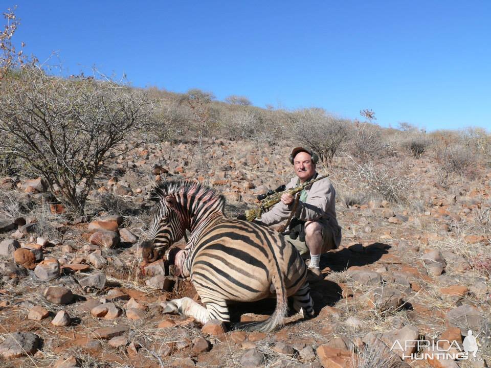 Burchell's Plain Zebra Hunting Namibia