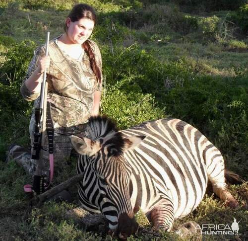 Burchell's Plain Zebra Hunting South Africa