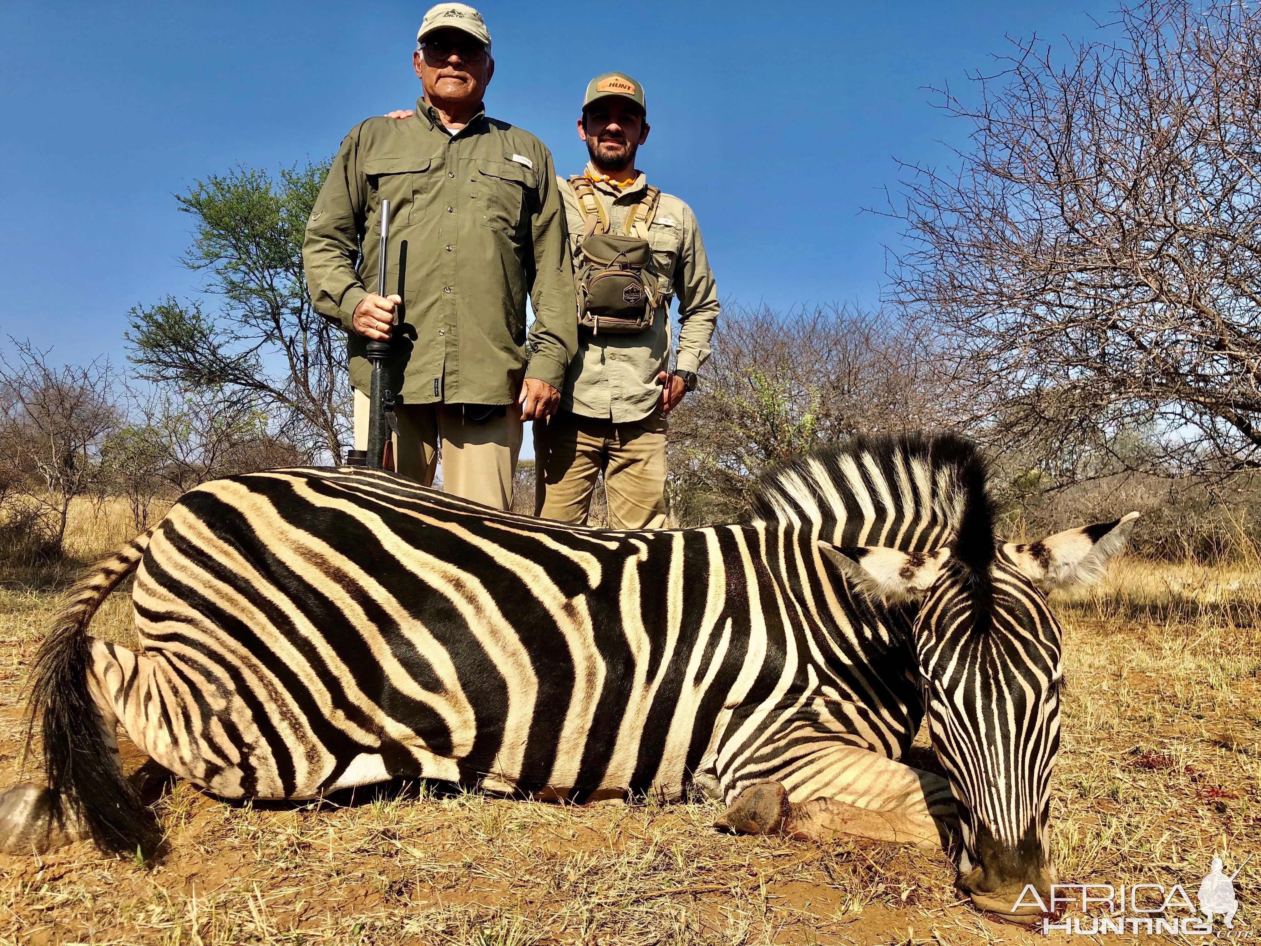 Burchell's Plain Zebra Hunting South Africa