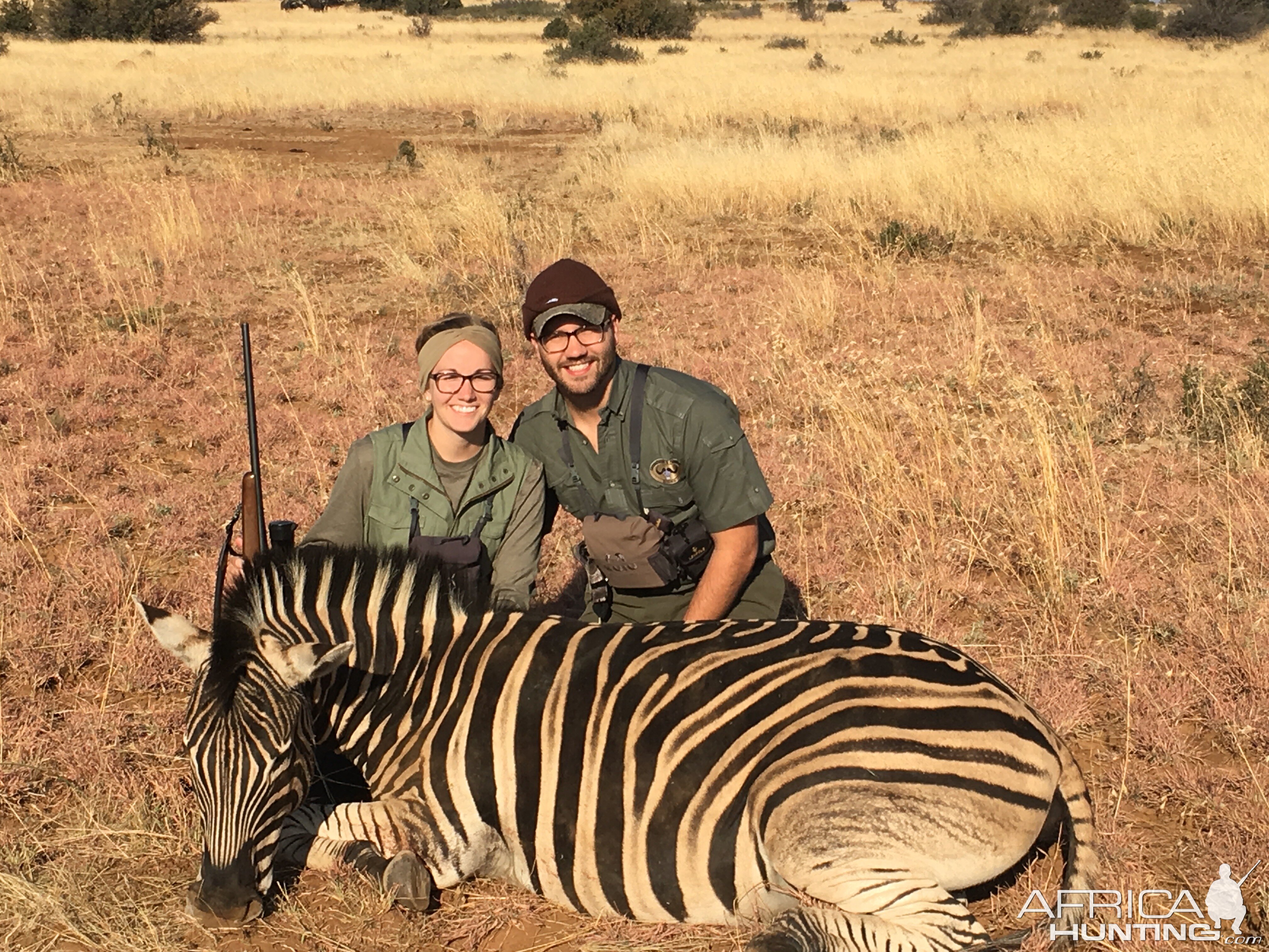 Burchell's Plain Zebra Hunting South Africa