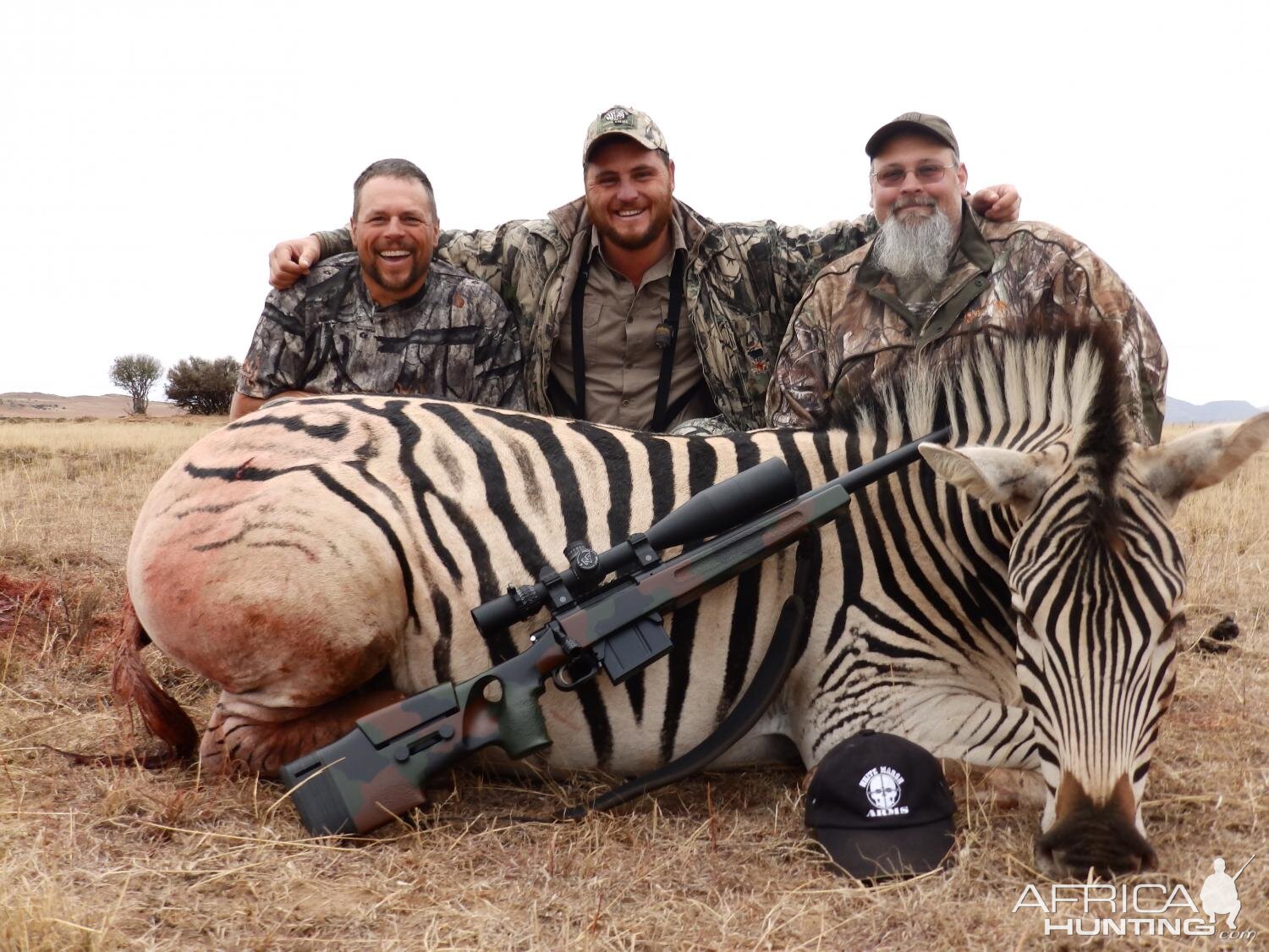 Burchell's Plain Zebra Hunting South Africa