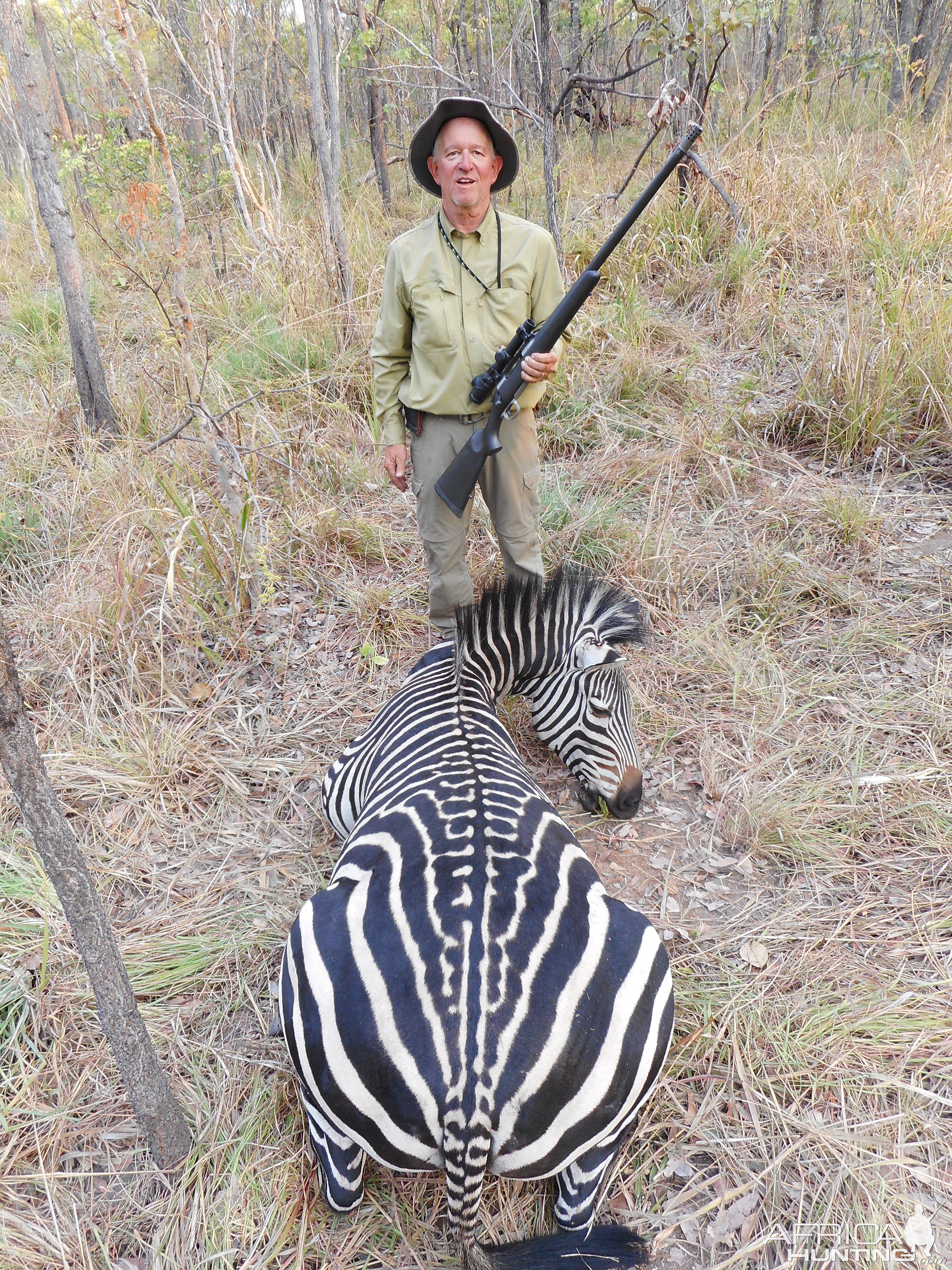 Burchell's Plain Zebra Hunting Tanzania