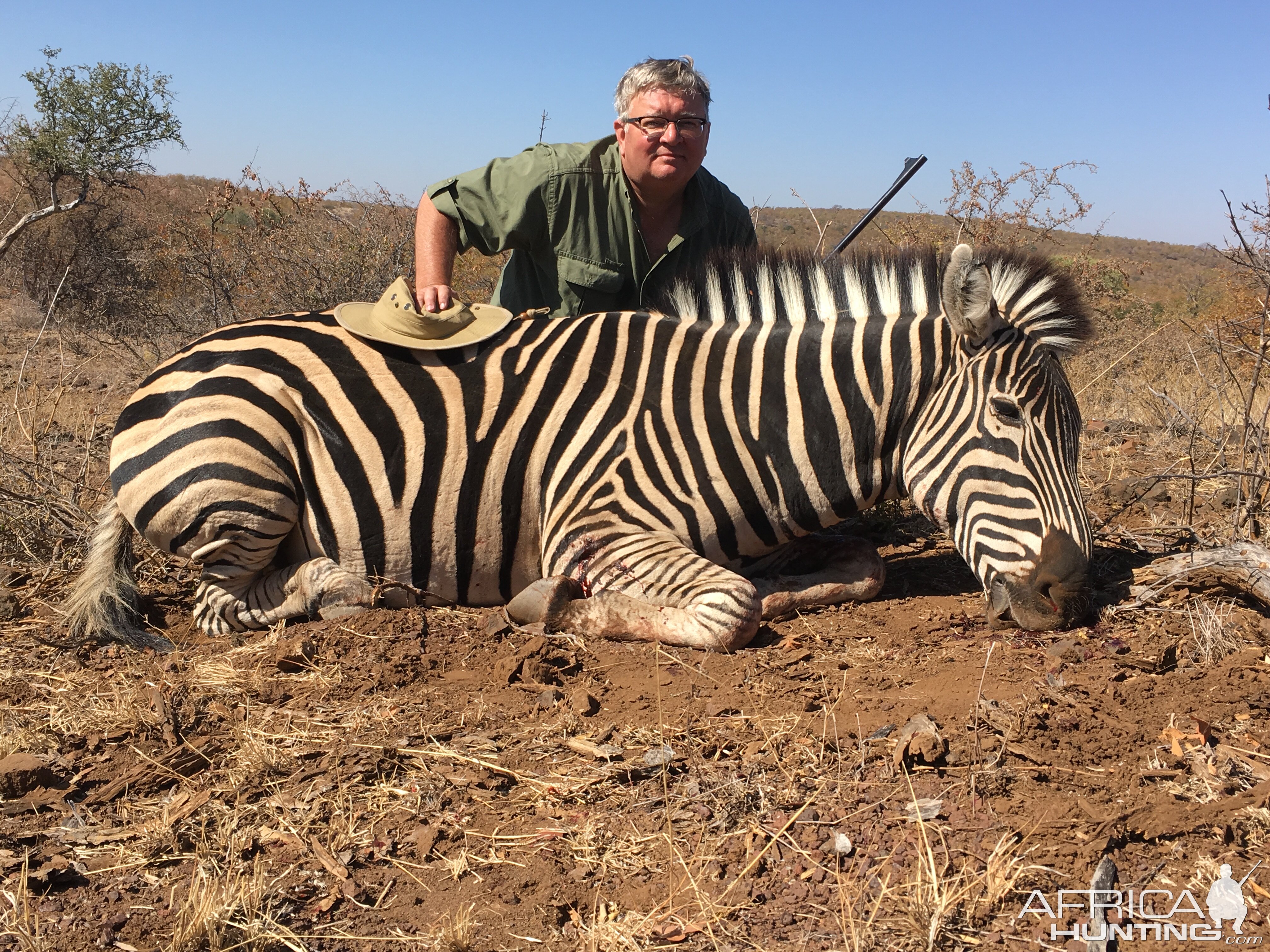 Burchell's Plain Zebra Hunting Zimbabwe