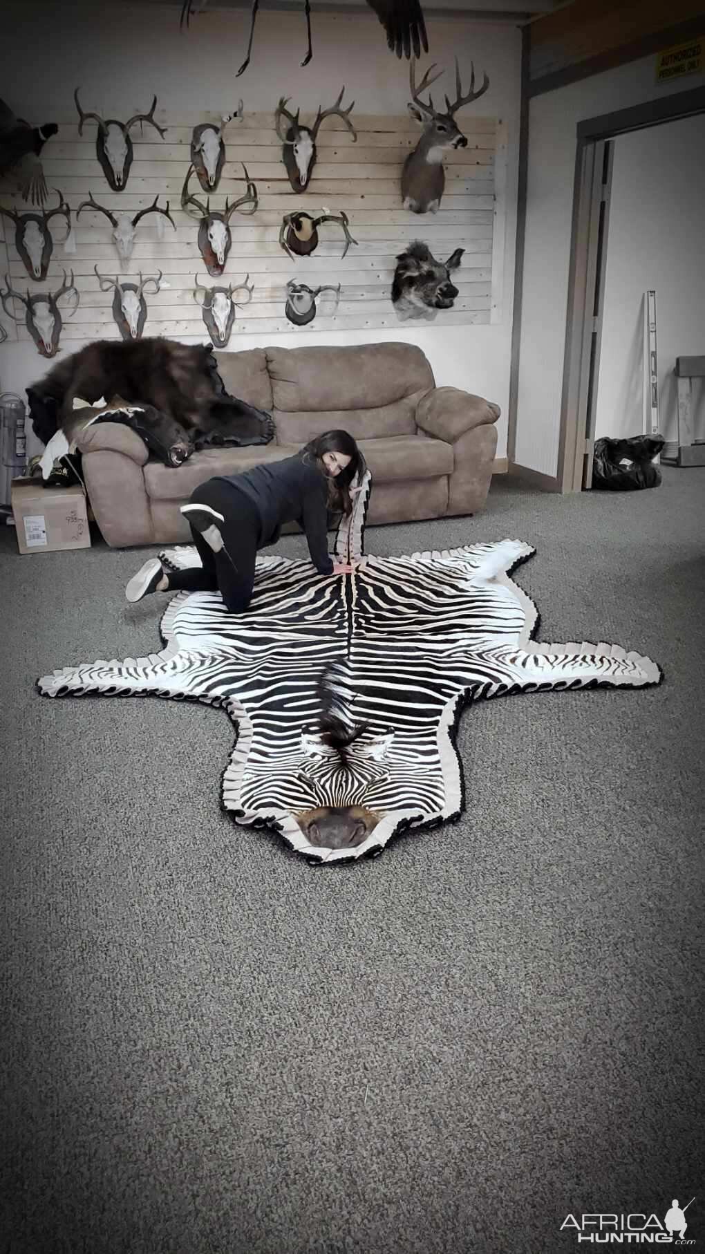 Burchell's Plain Zebra Rug