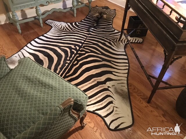 Burchell's Plain Zebra Rug