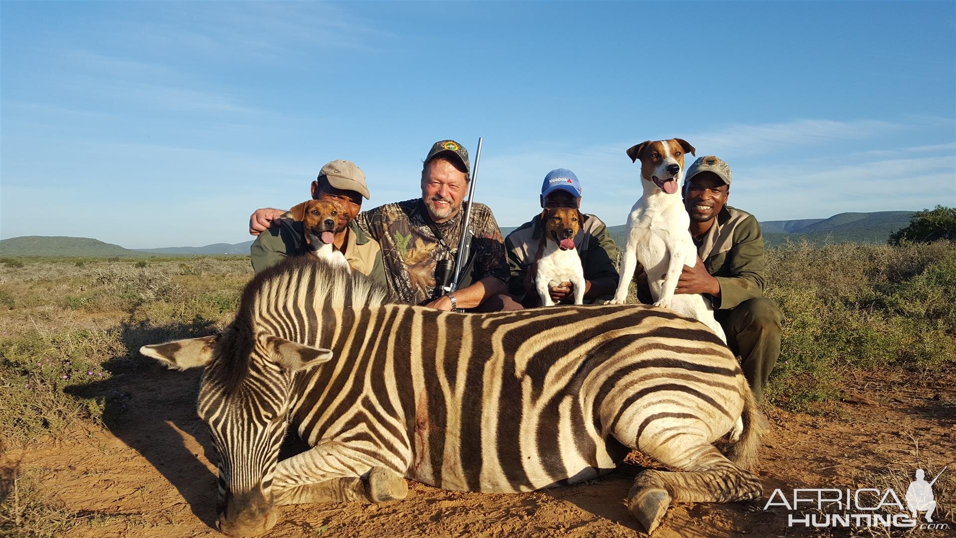 Burchell's Plain Zebra South Africa Hunt