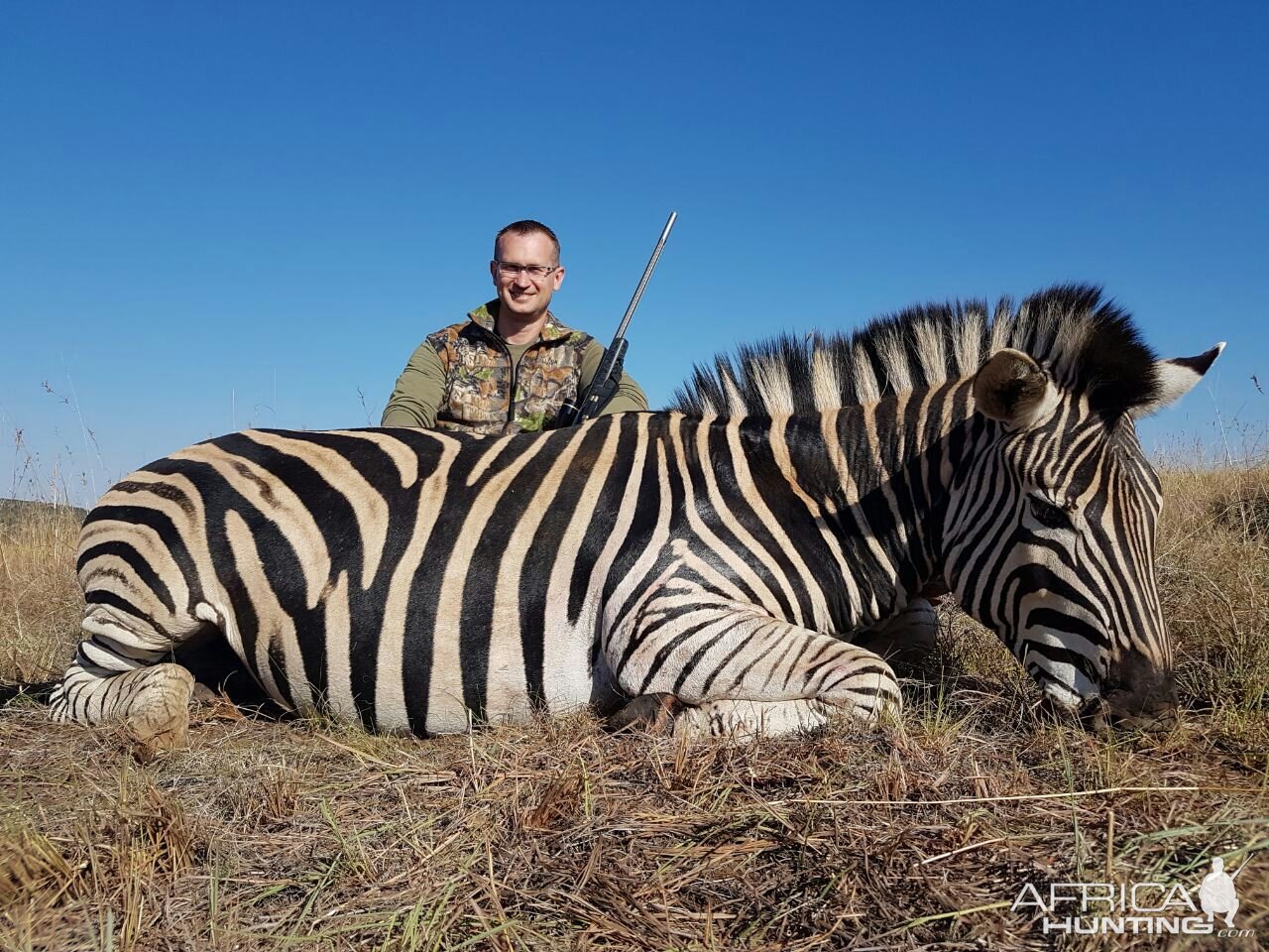 Burchell's Plain Zebra South Africa Hunt