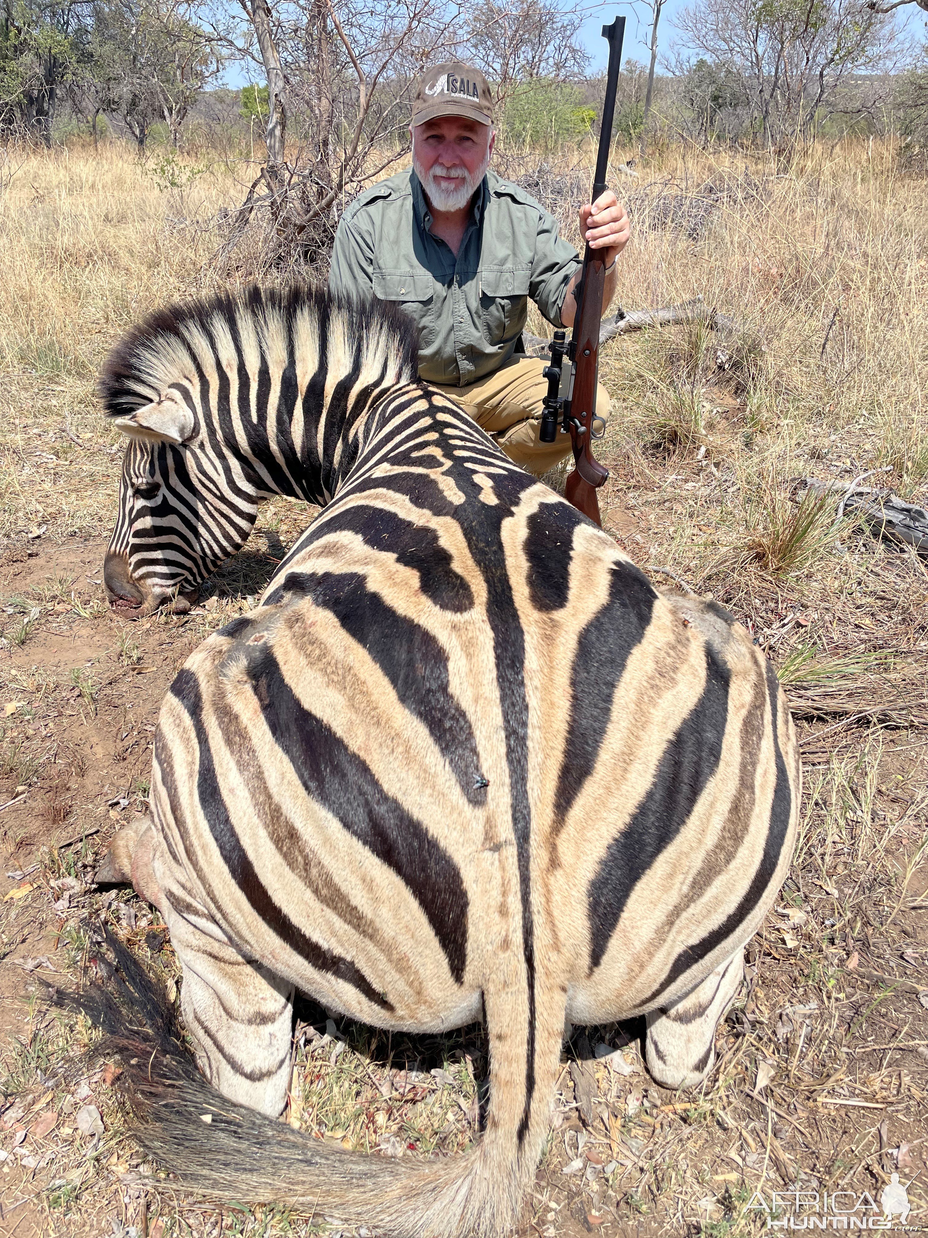 Burchell's Plains Zebra Hunt South Africa