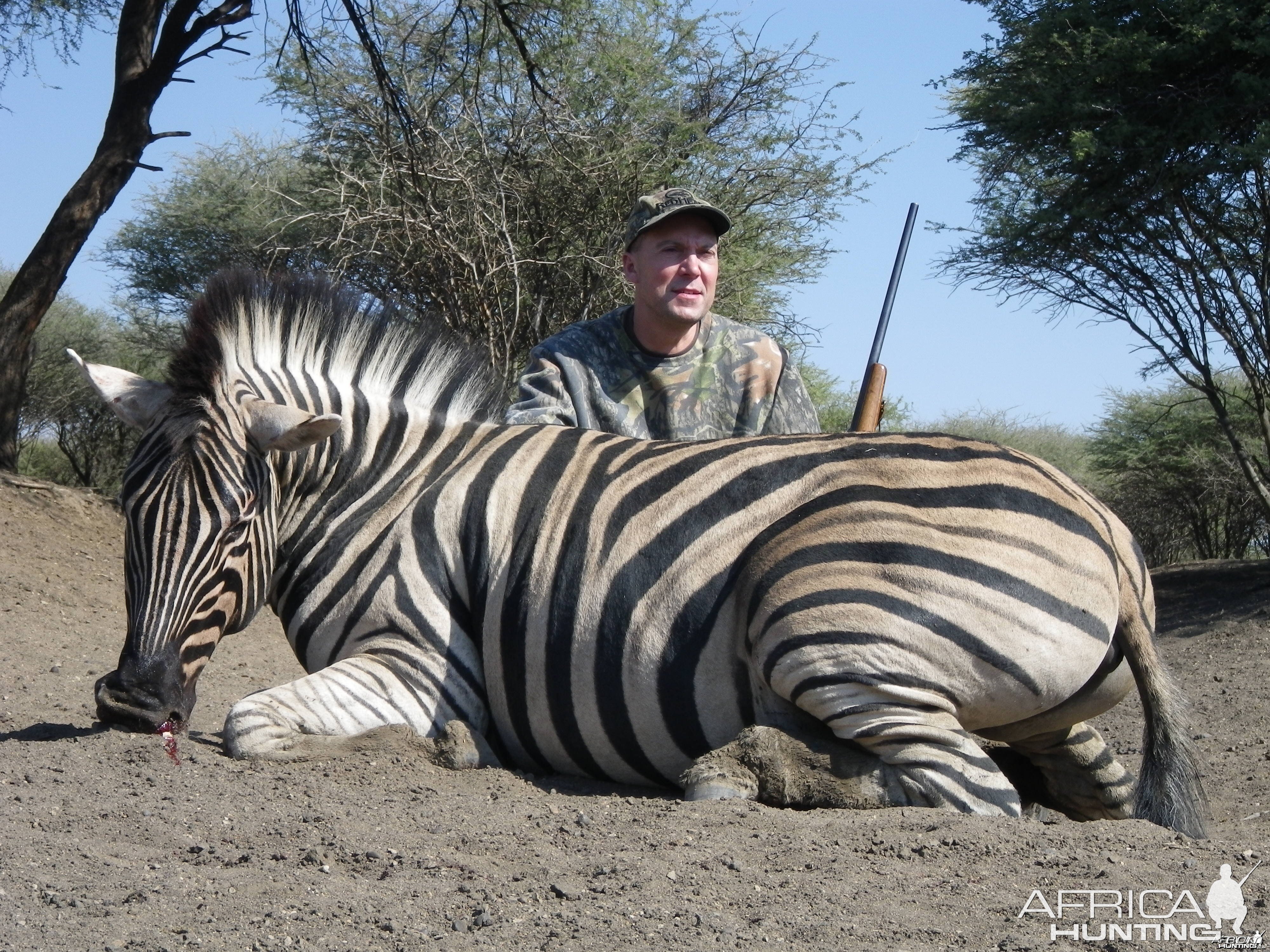 Burchell's Zebra hunted with Ozondjahe Hunting Safaris in Namibia