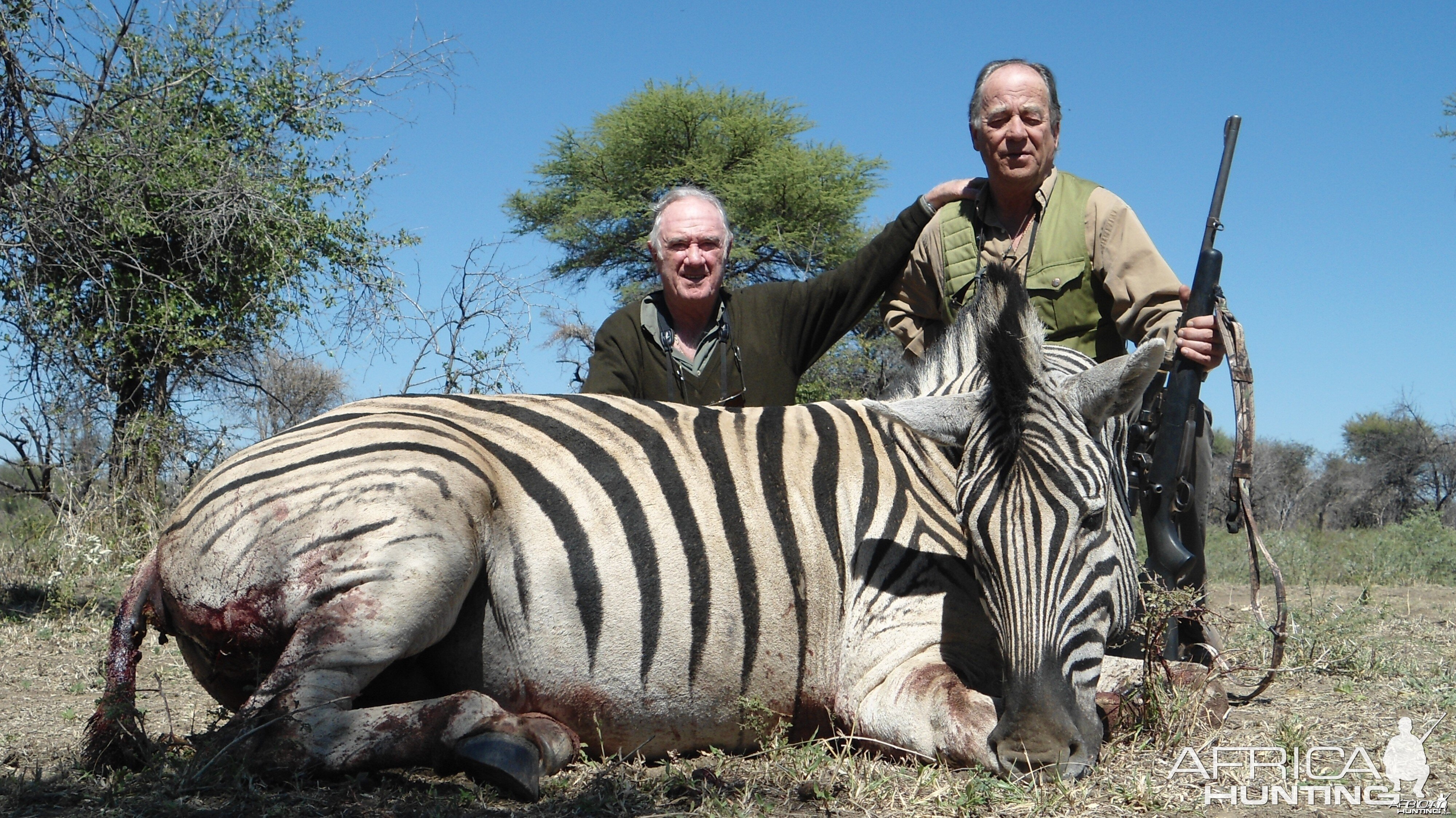 Burchell's Zebra hunted with Ozondjahe Hunting Safaris in Namibia