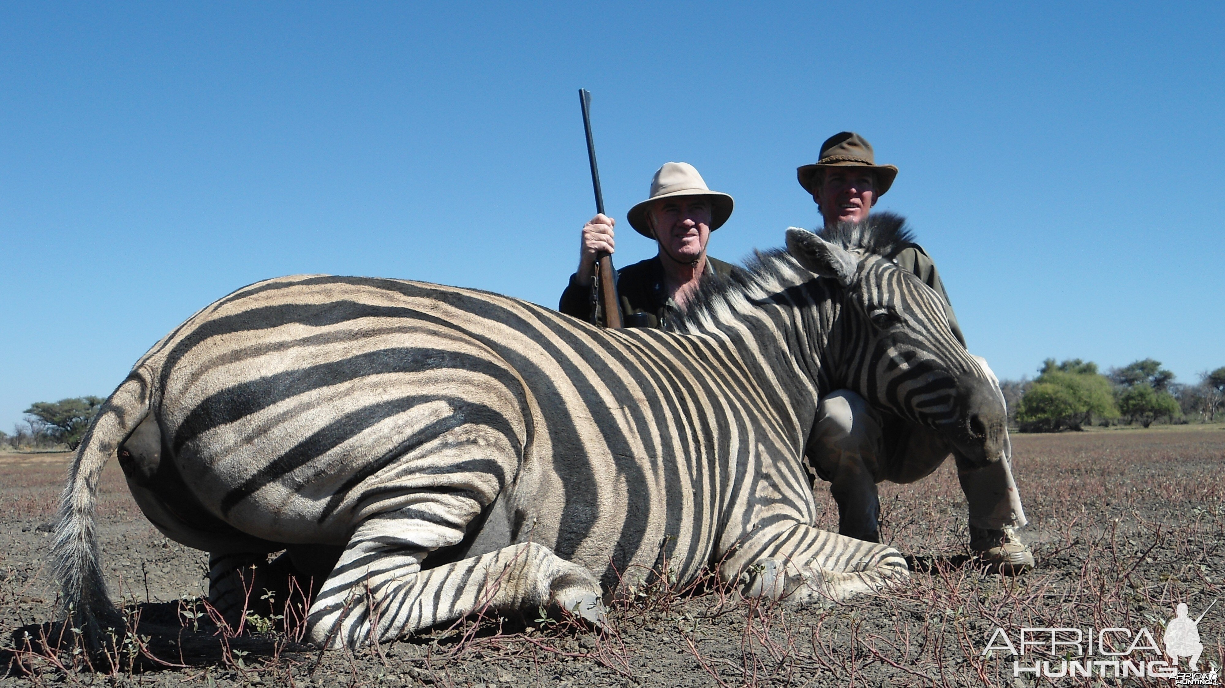 Burchell's Zebra hunted with Ozondjahe Hunting Safaris in Namibia