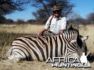 Burchell's Zebra (Plain Zebra) Namibia