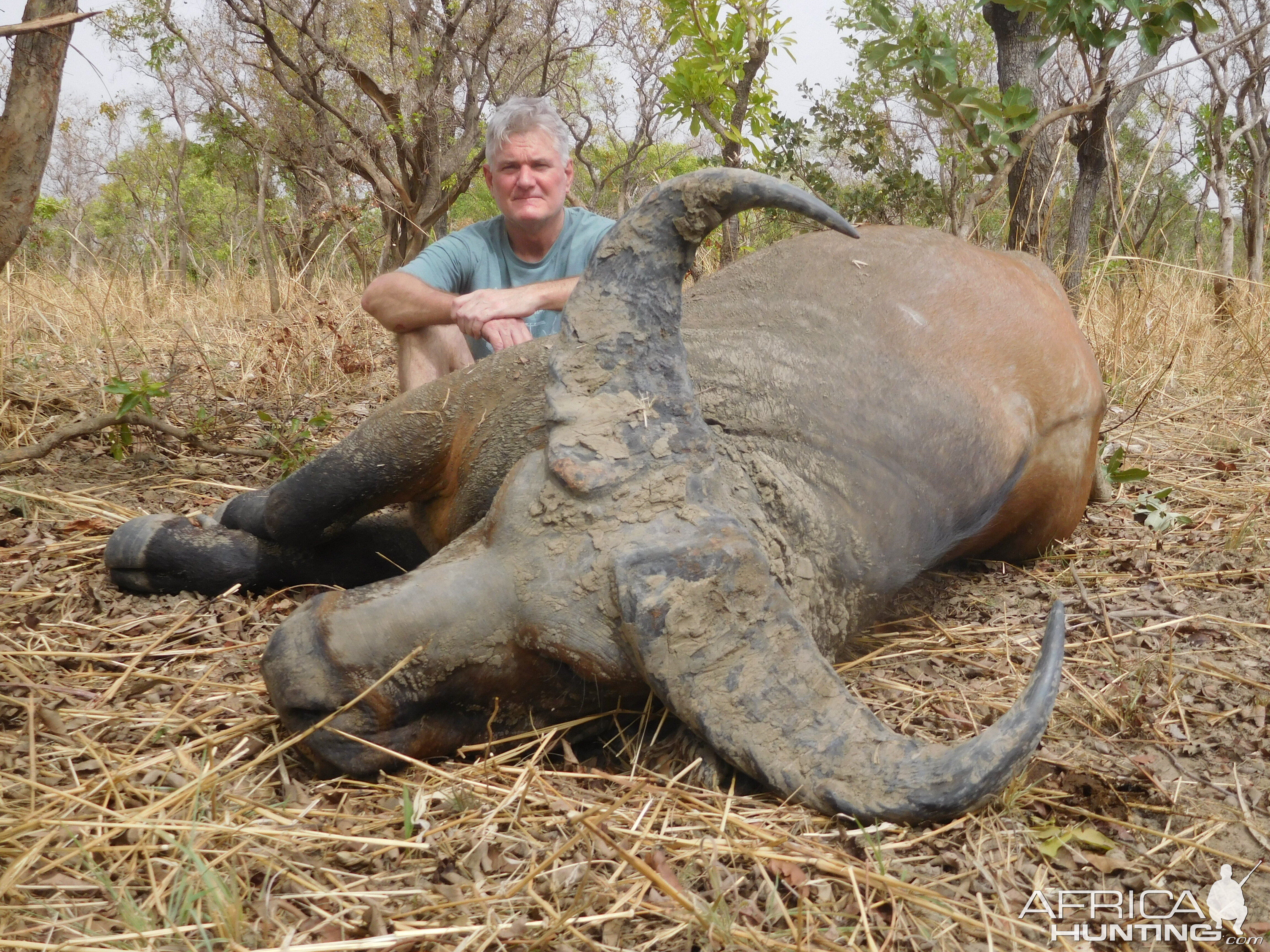 Burkina Faso Hunt West African Savanna Buffalo