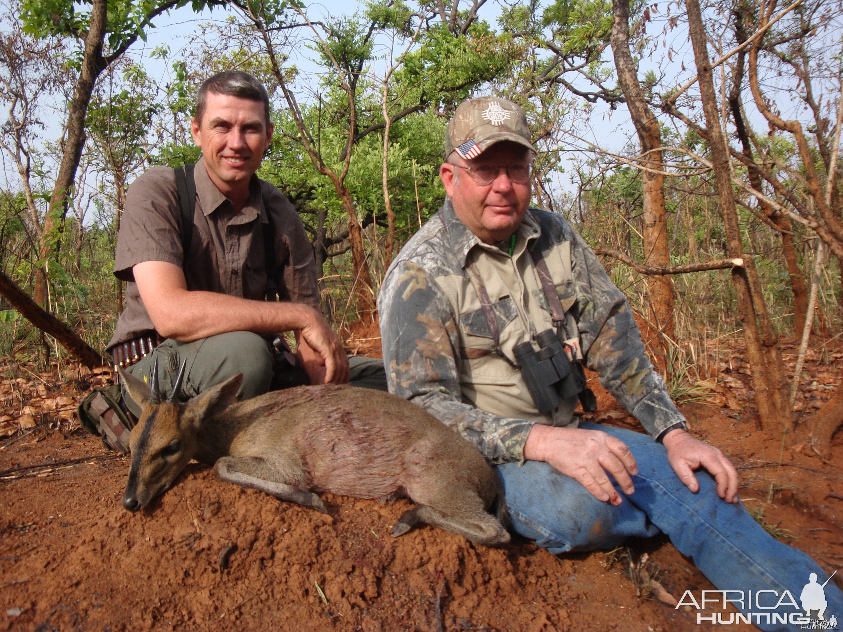 Bush Duiker hunted in CAR with Central African Wildlife Adventures