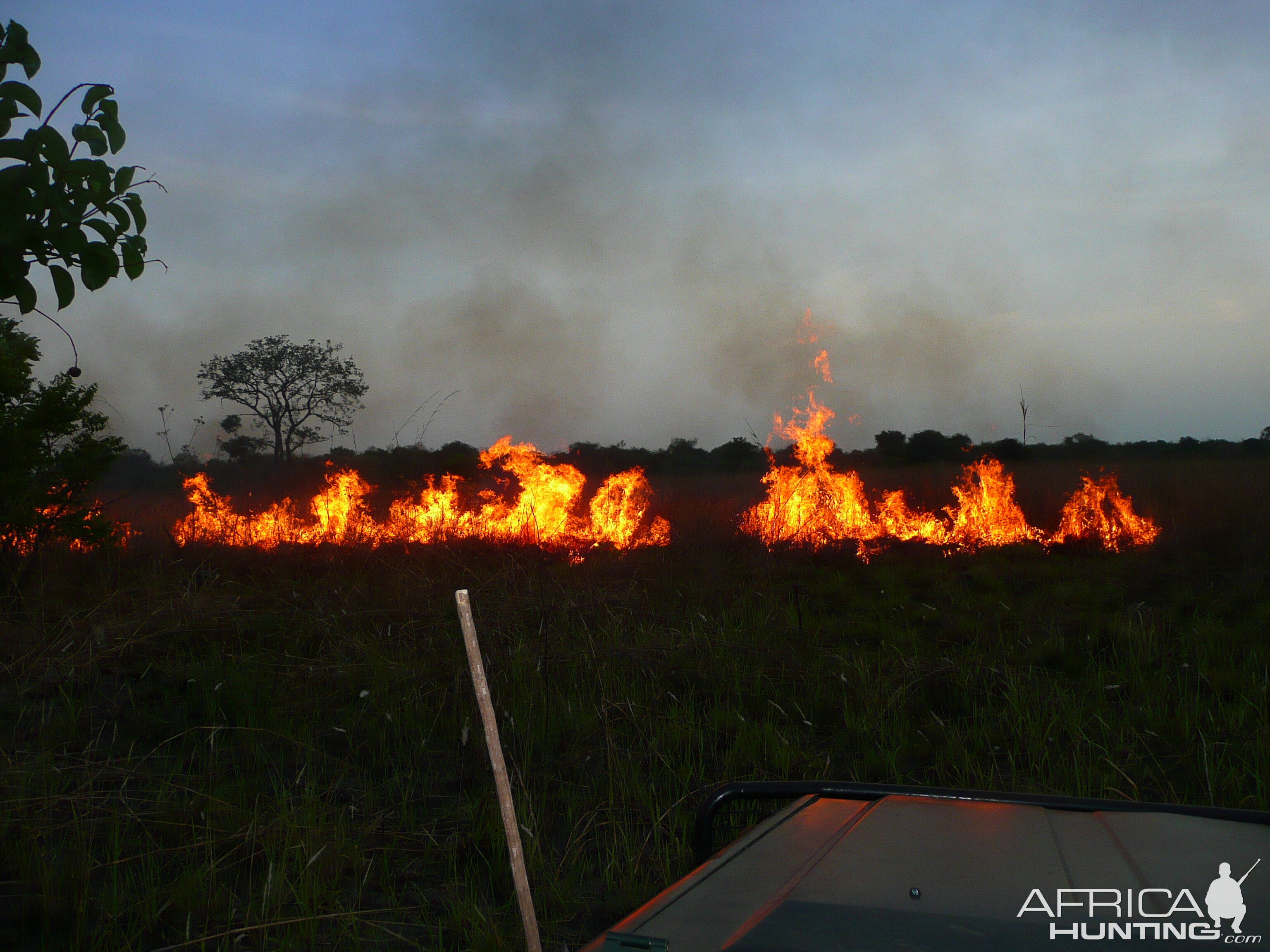 Bush Fires CAR