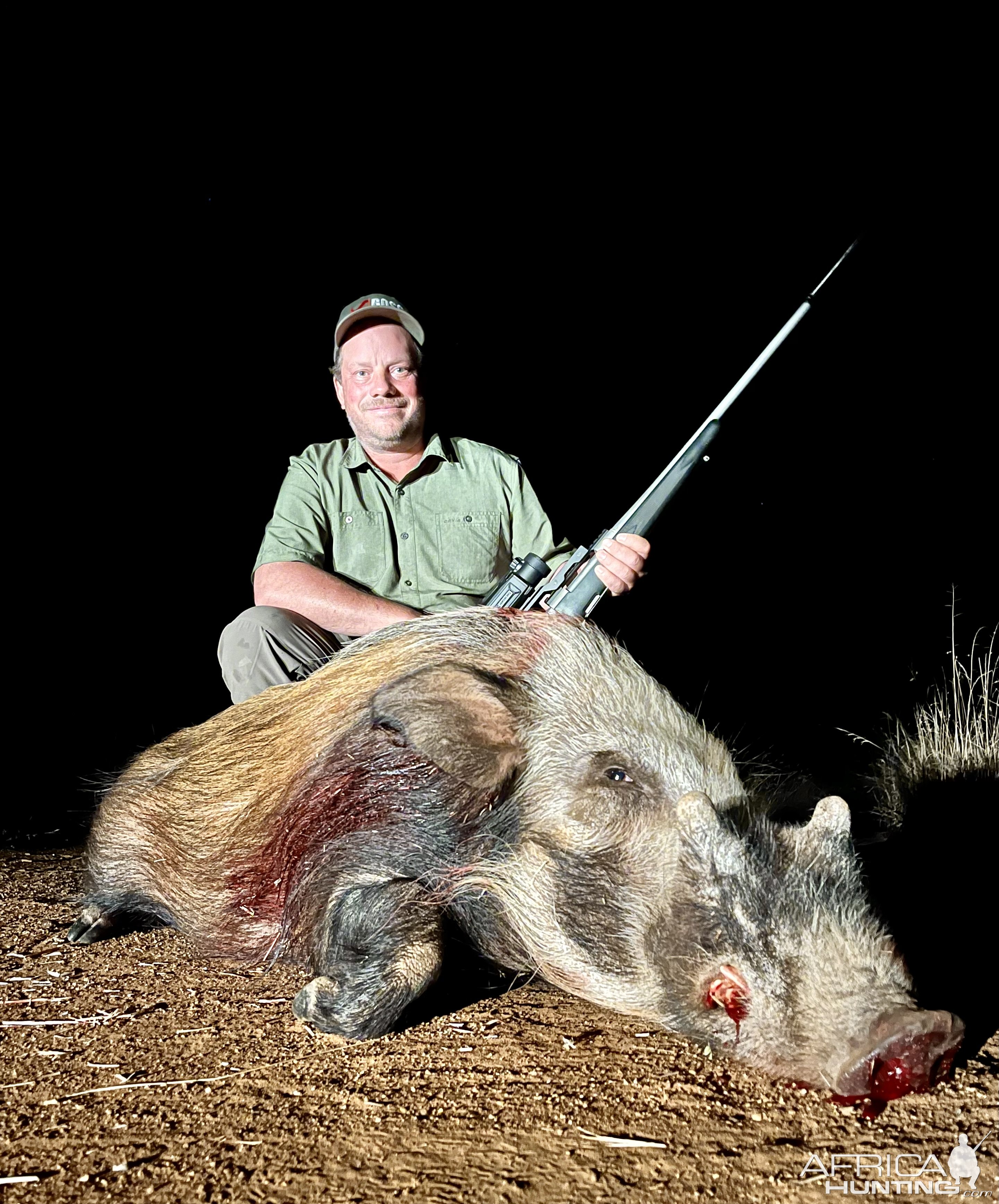 Bush Pig Hunt Limpopo South Africa