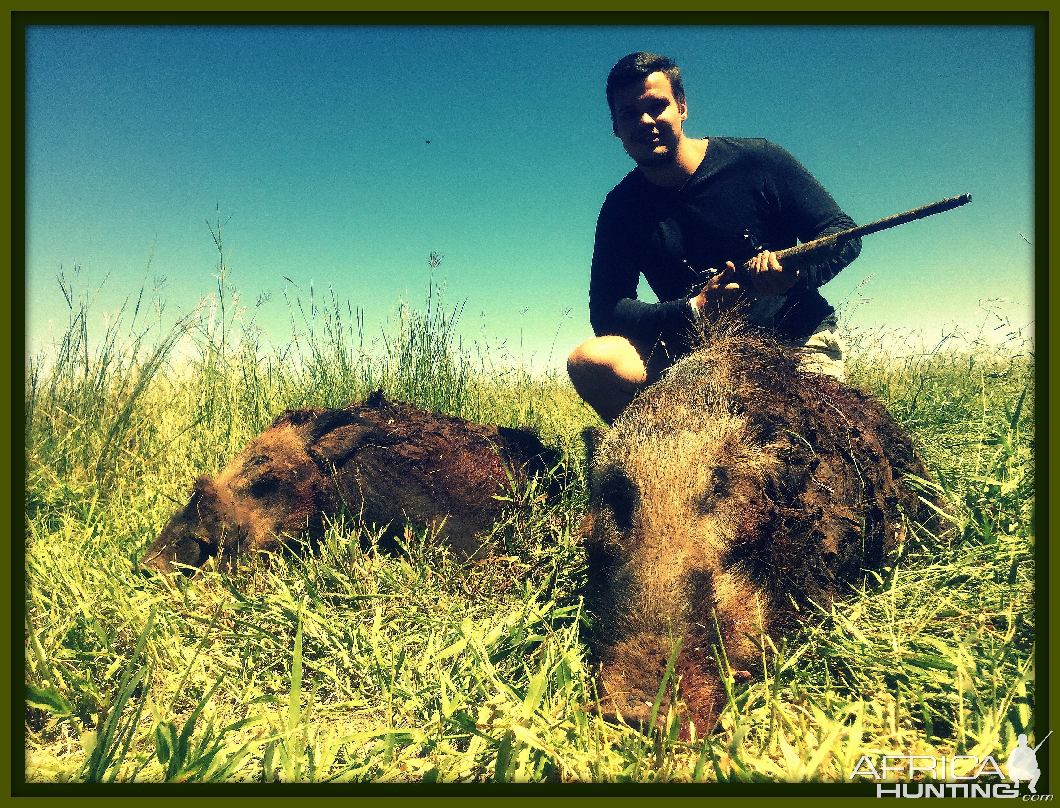 Bush pig Hunting