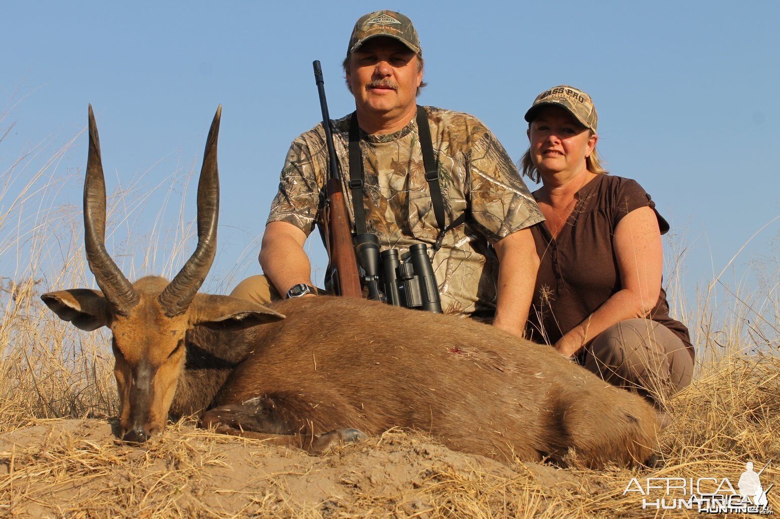 Bushbok