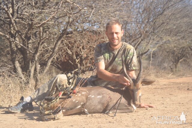 Bushbuck Bow Hunting South Africa