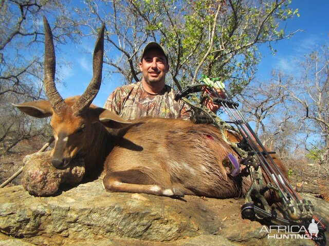 Bushbuck Bow Hunting South Africa