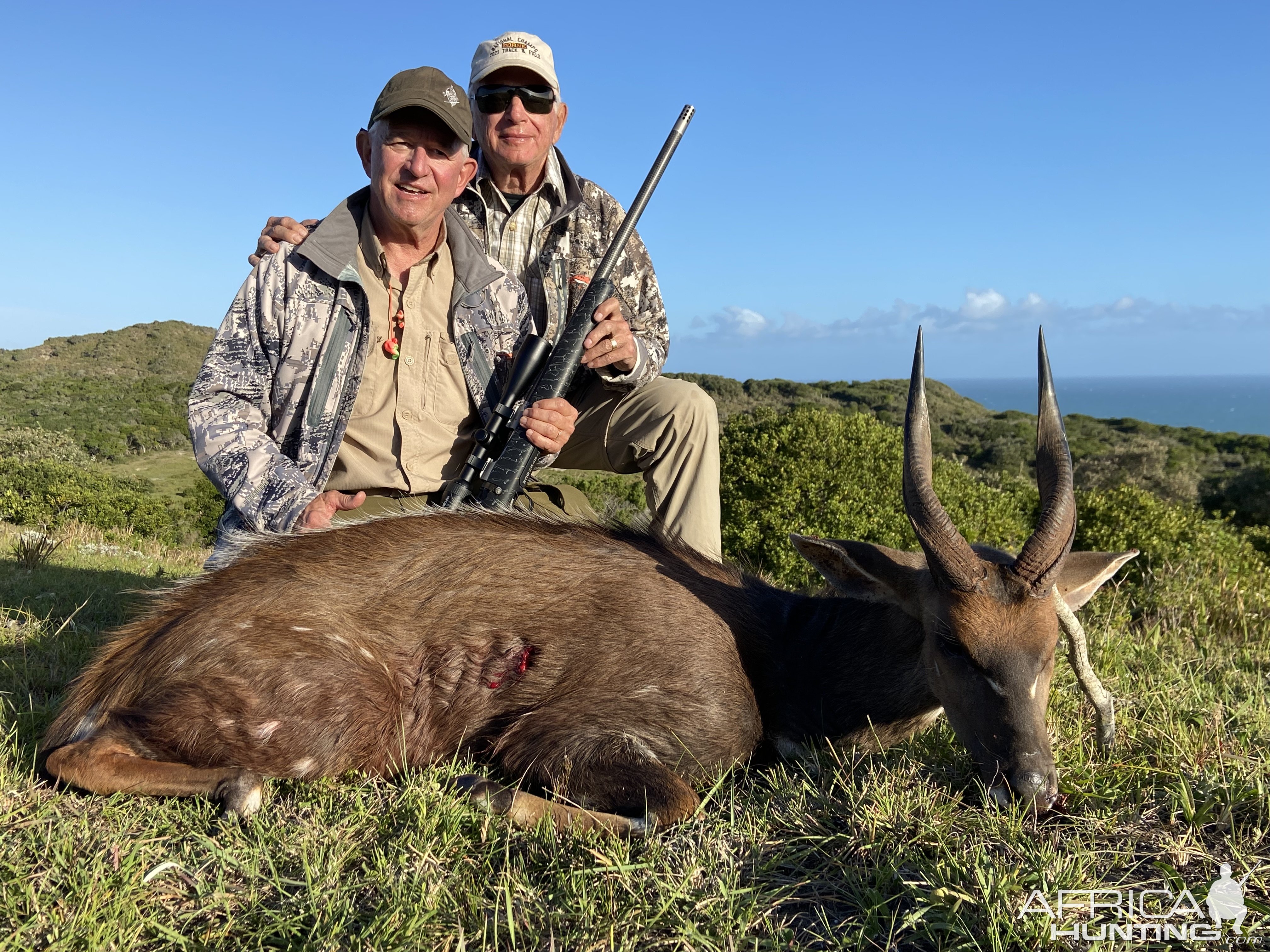 Bushbuck Hunt Eastern Cape South Africa