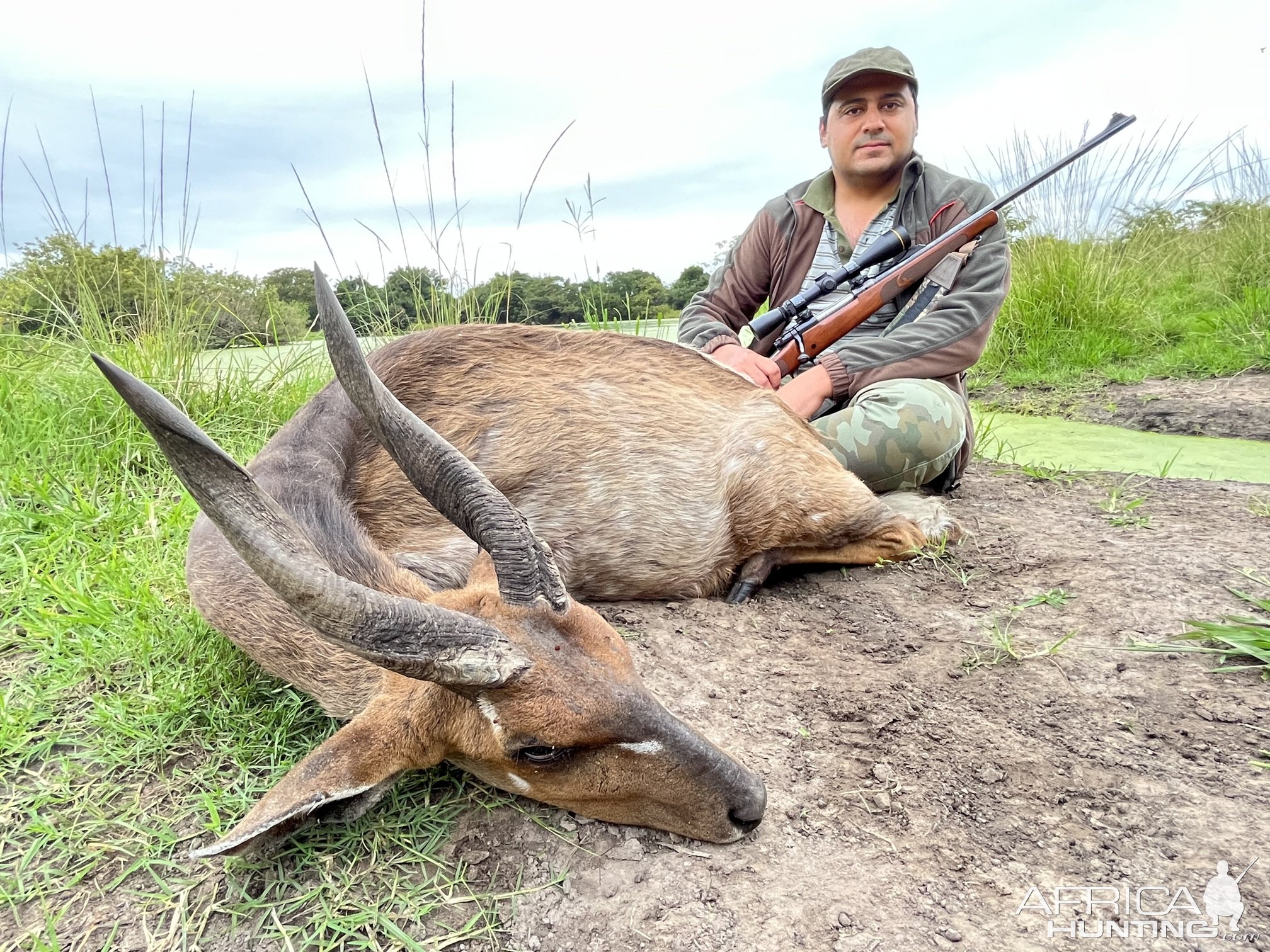 Bushbuck Hunt Eastern Cape South Africa