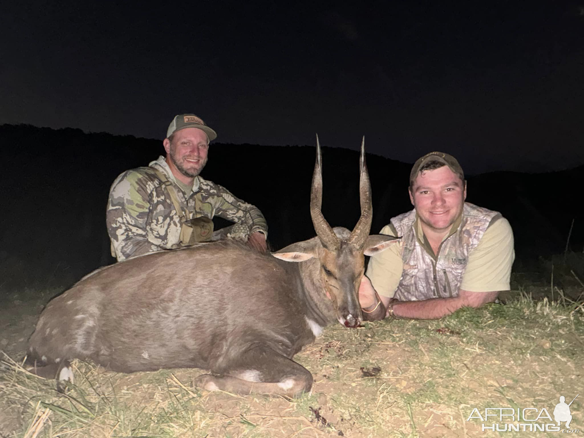 Bushbuck Hunt Eastern Cape South Africa