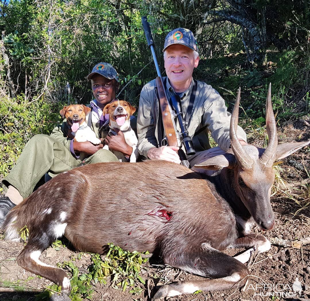 Bushbuck Hunt in South Africa