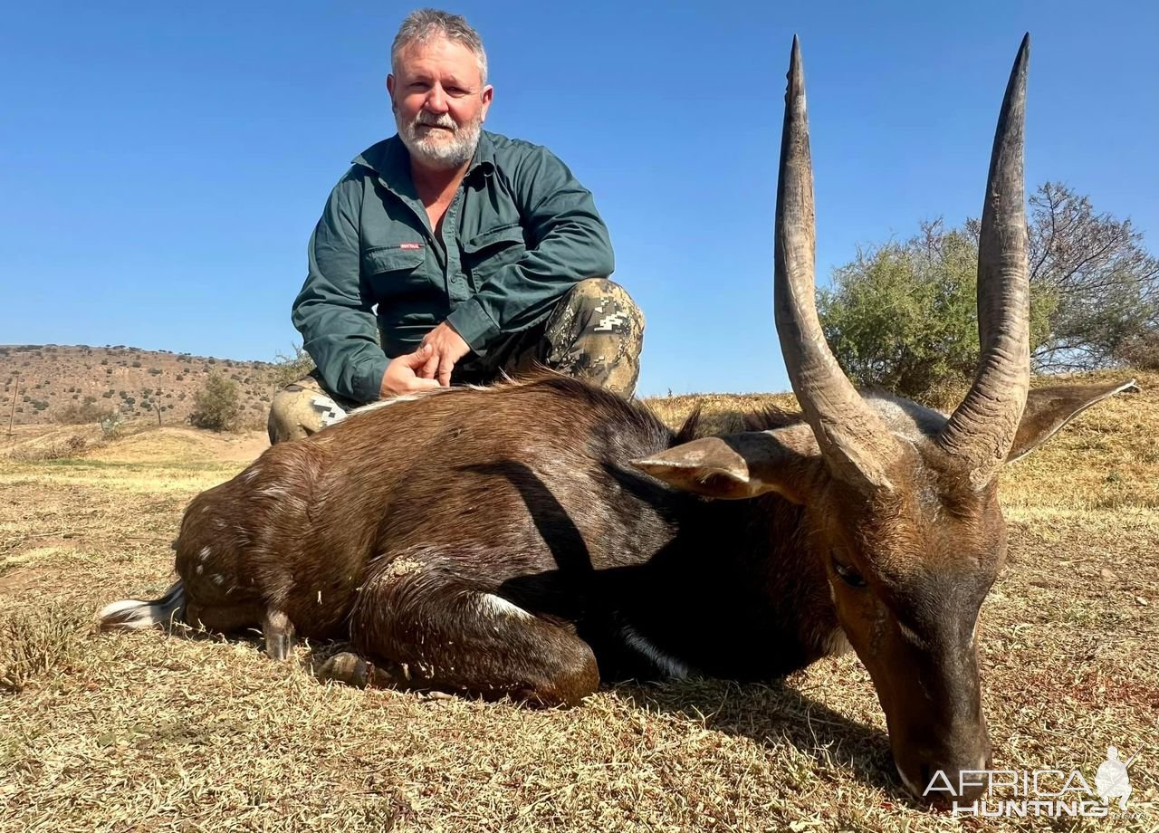 Bushbuck Hunt Karoo South Africa