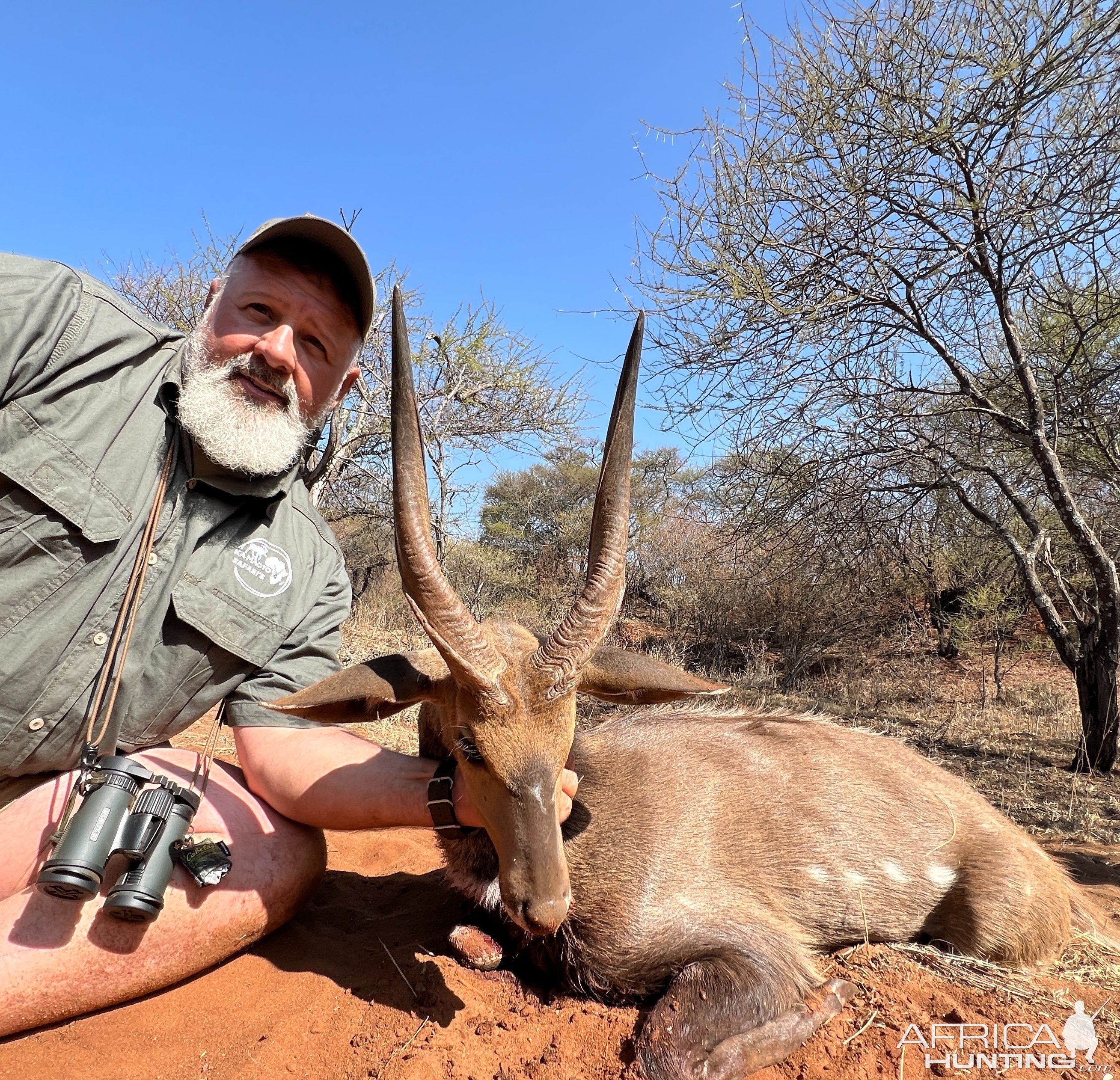 Bushbuck Hunt Limpopo South Africa