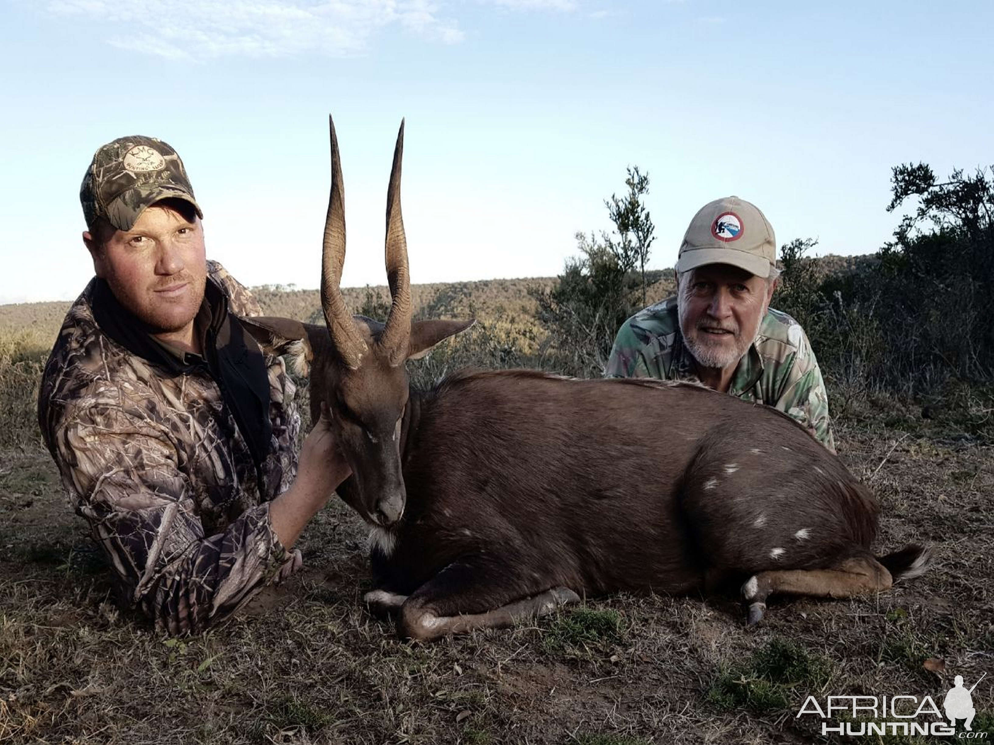 Bushbuck Hunt South Africa