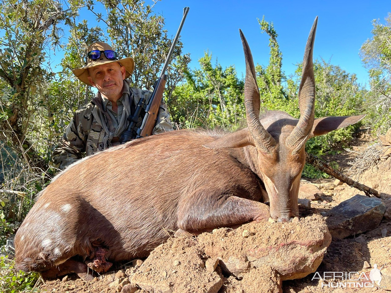 Bushbuck Hunt South Africa