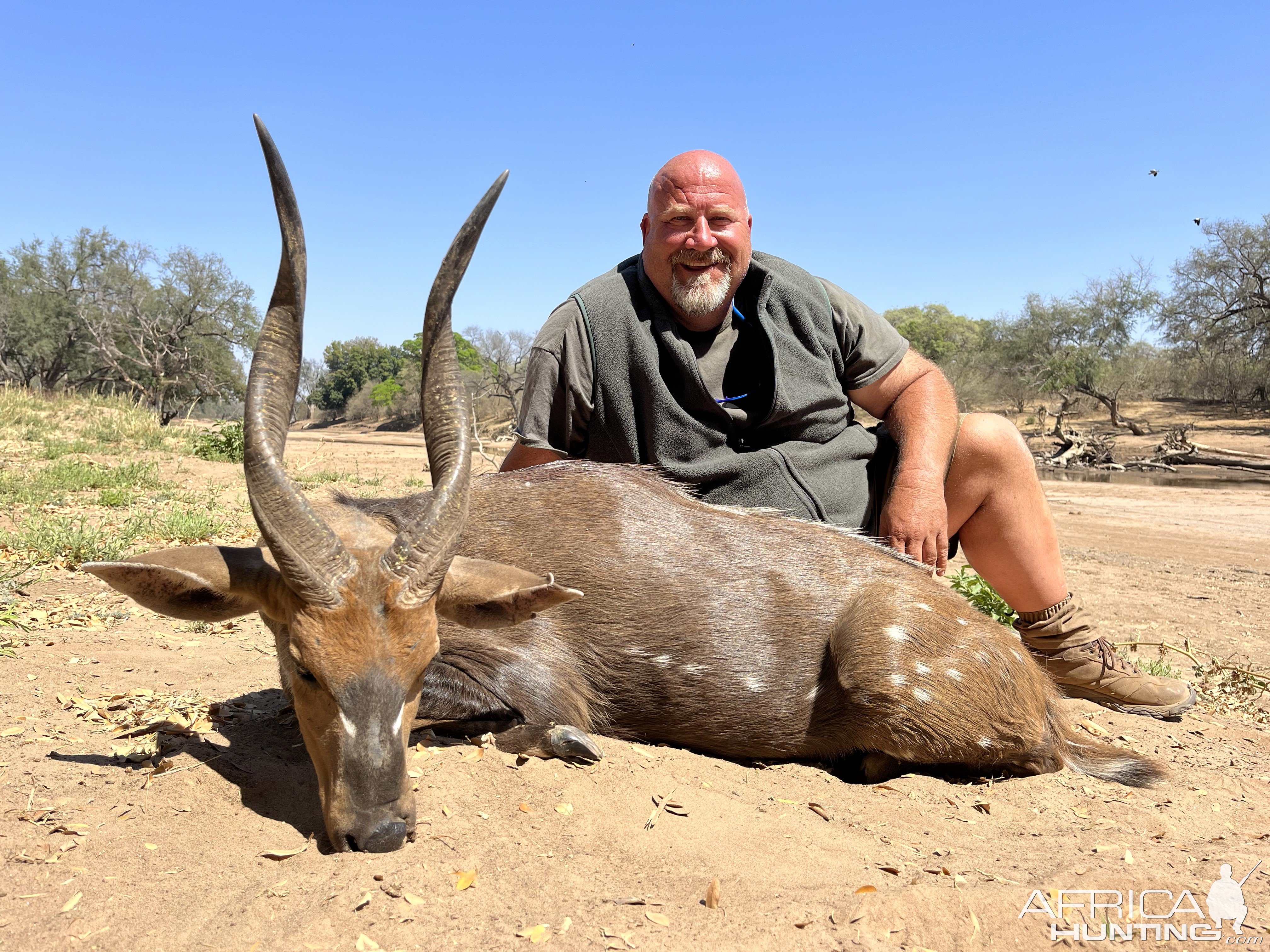 Bushbuck Hunt South Africa