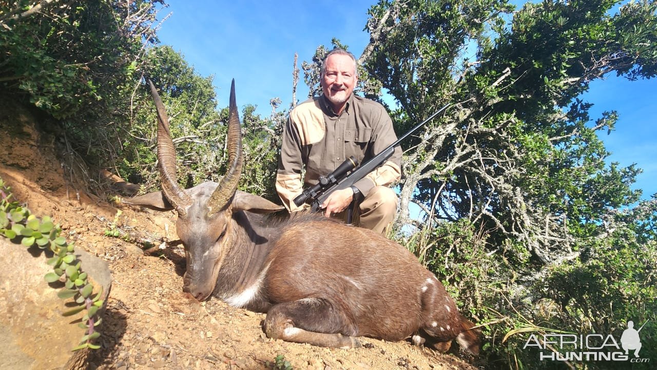 Bushbuck Hunt South Africa