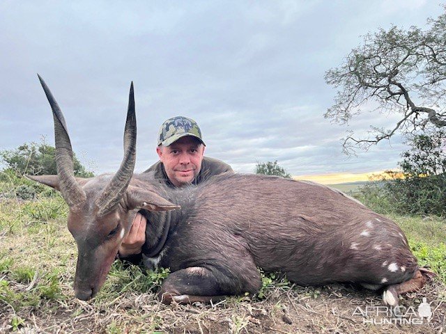 Bushbuck Hunt South Africa