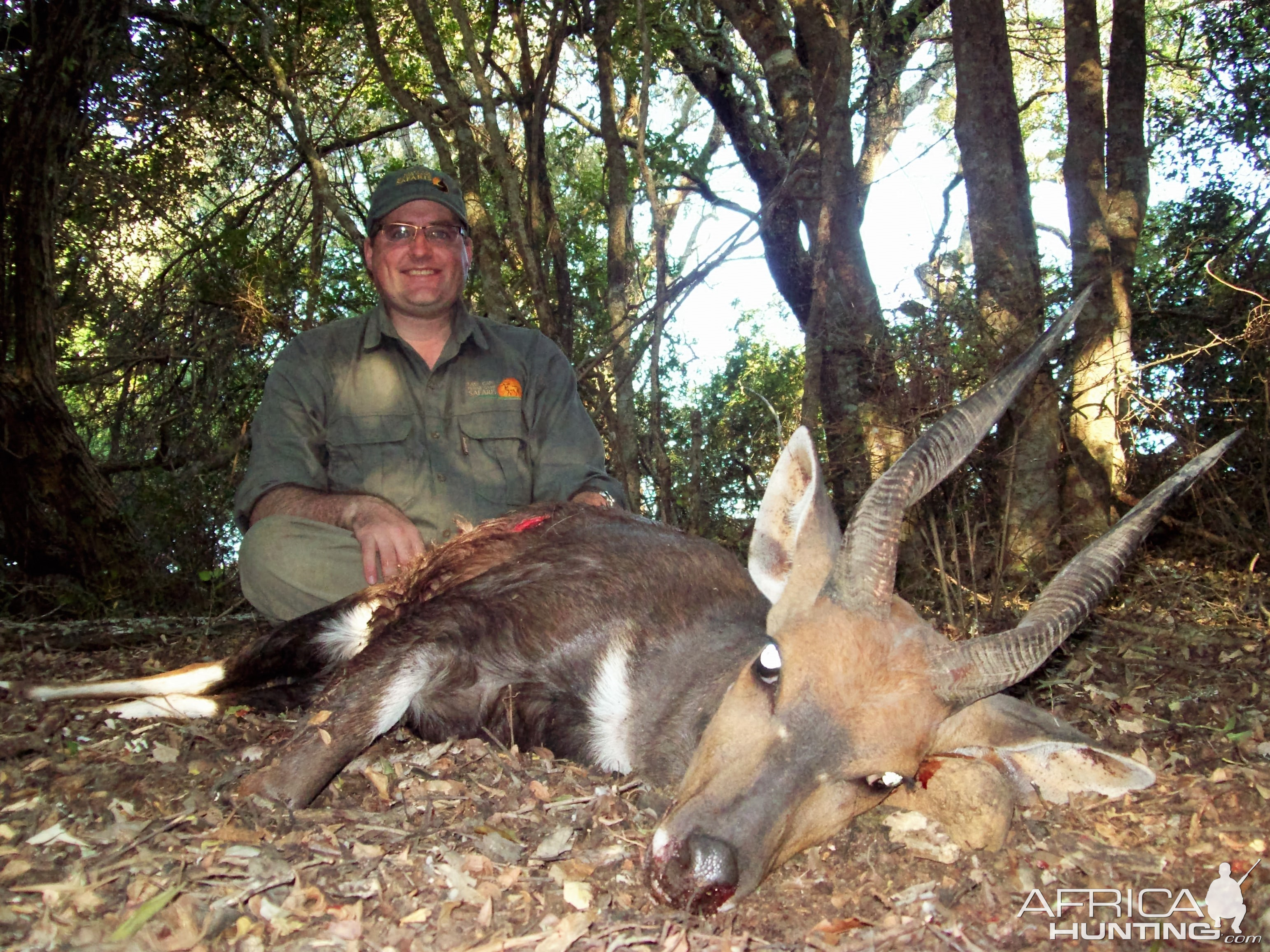 Bushbuck Hunt South Africa