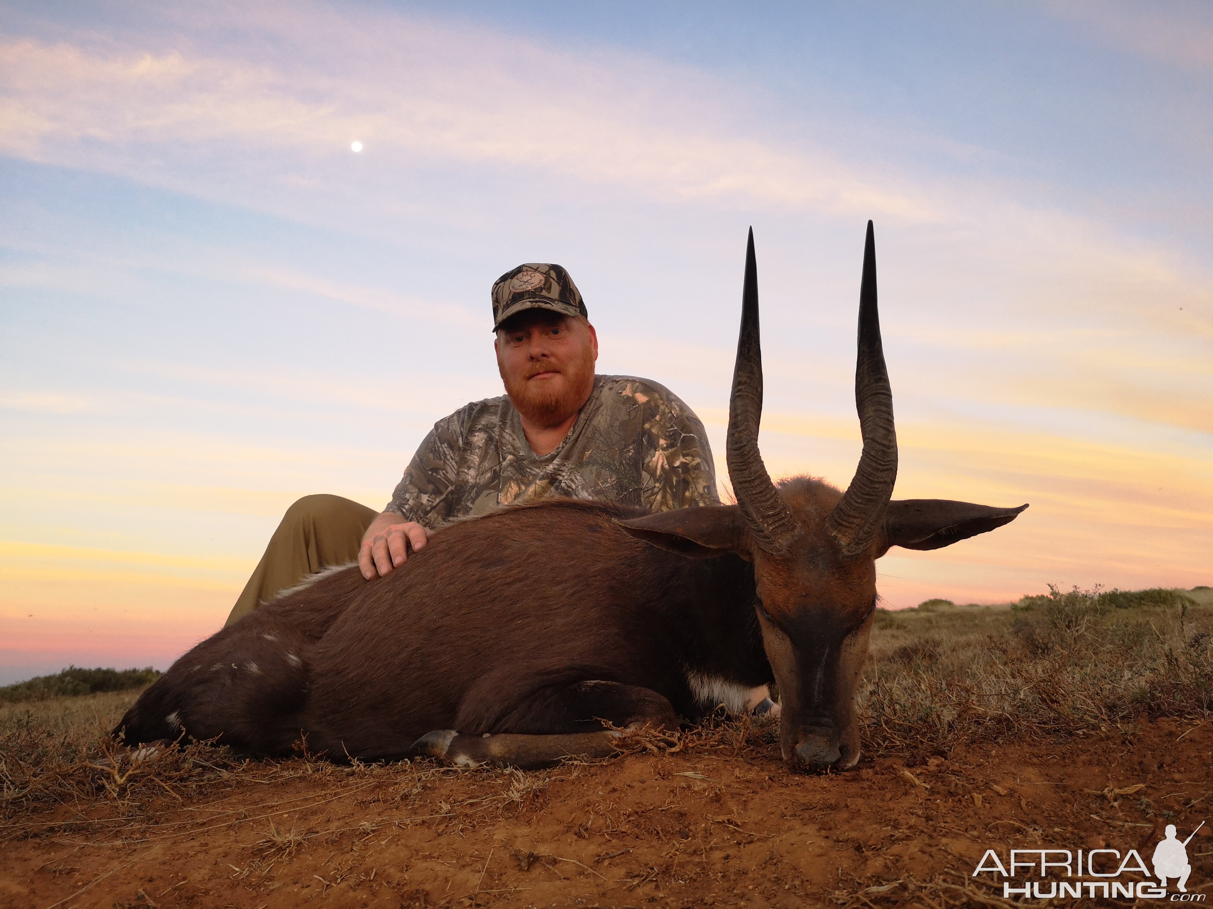 Bushbuck Hunt South Africa