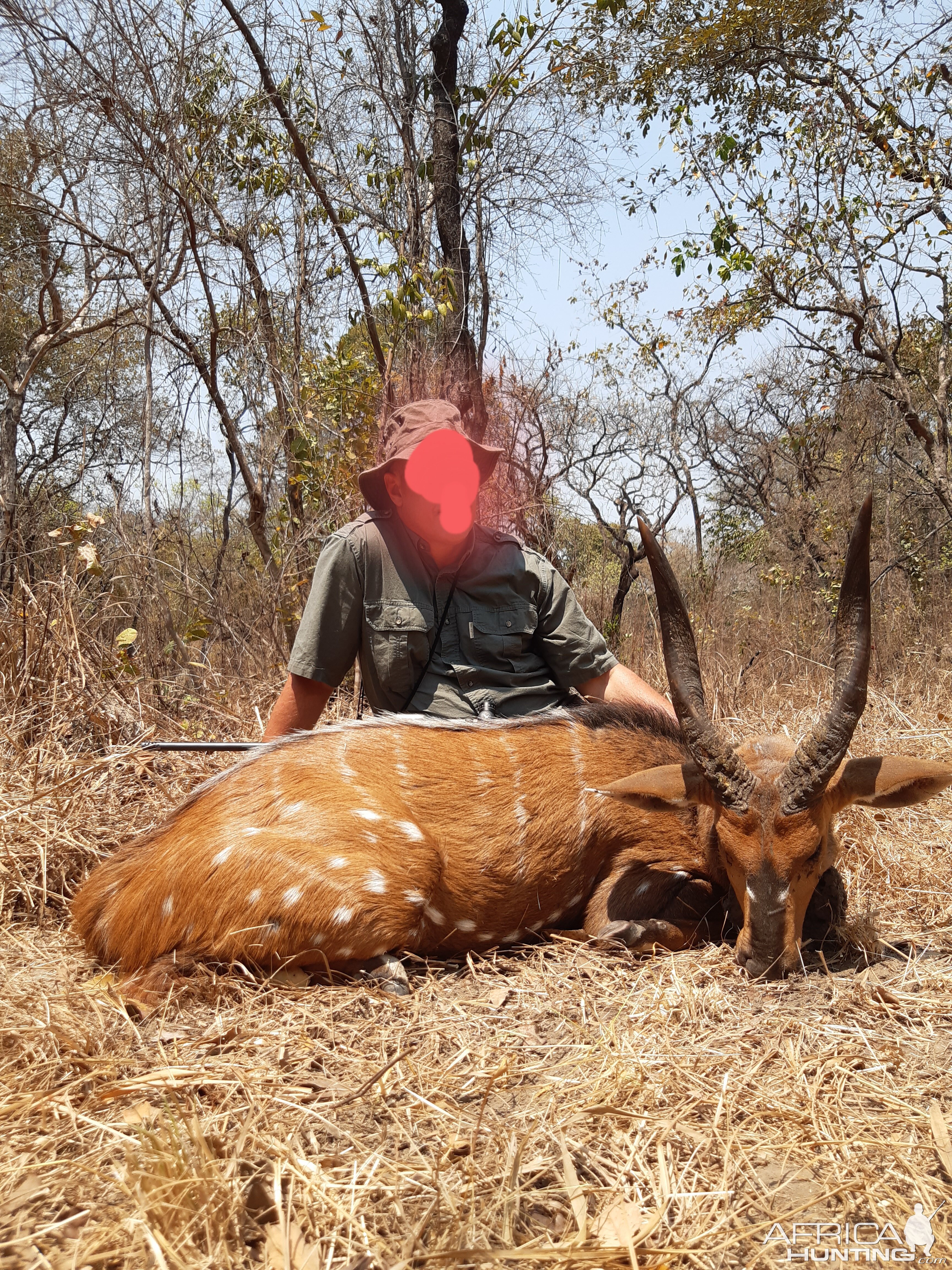 Bushbuck Hunt Zambia