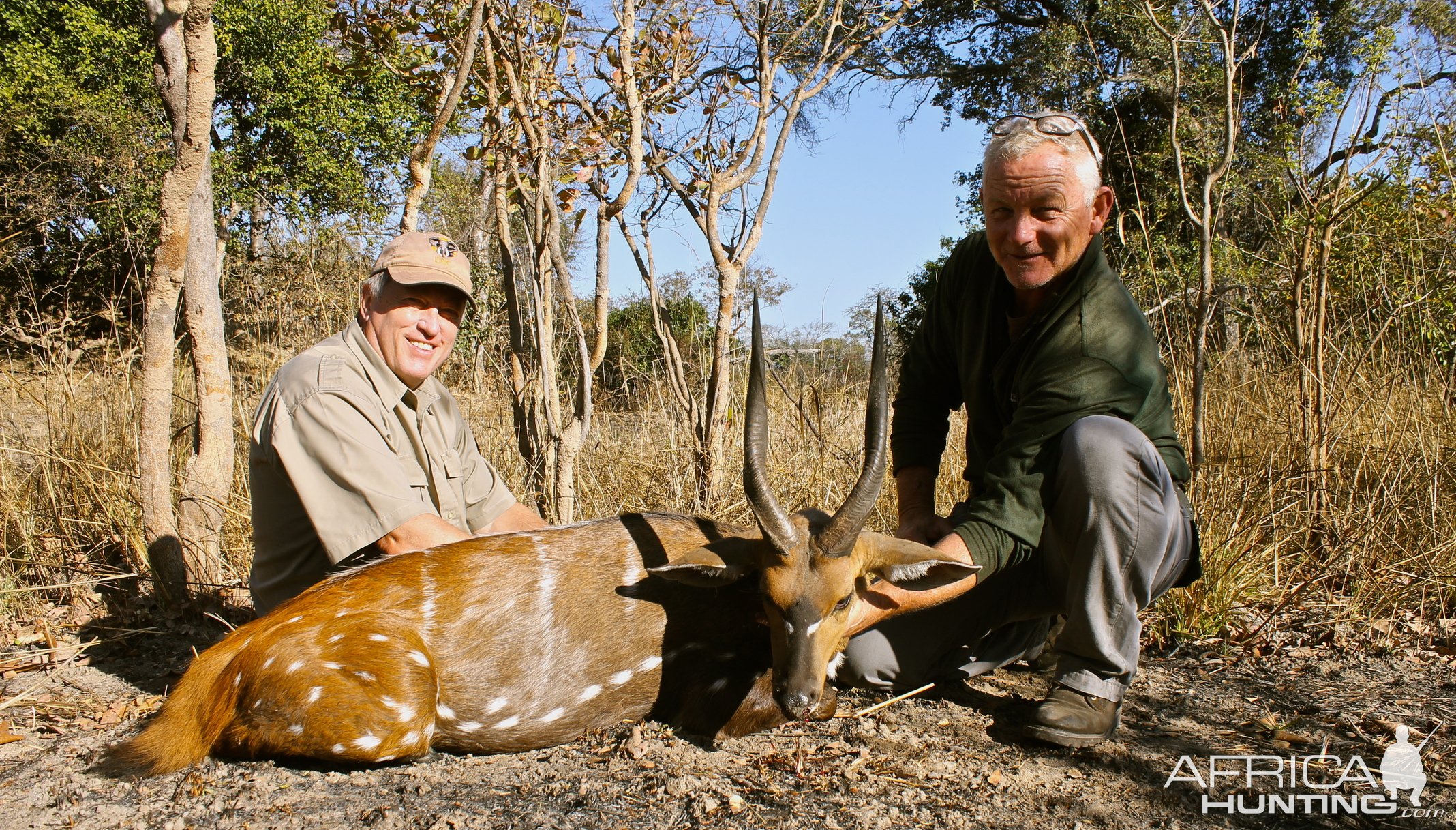 Bushbuck Hunt Zambia