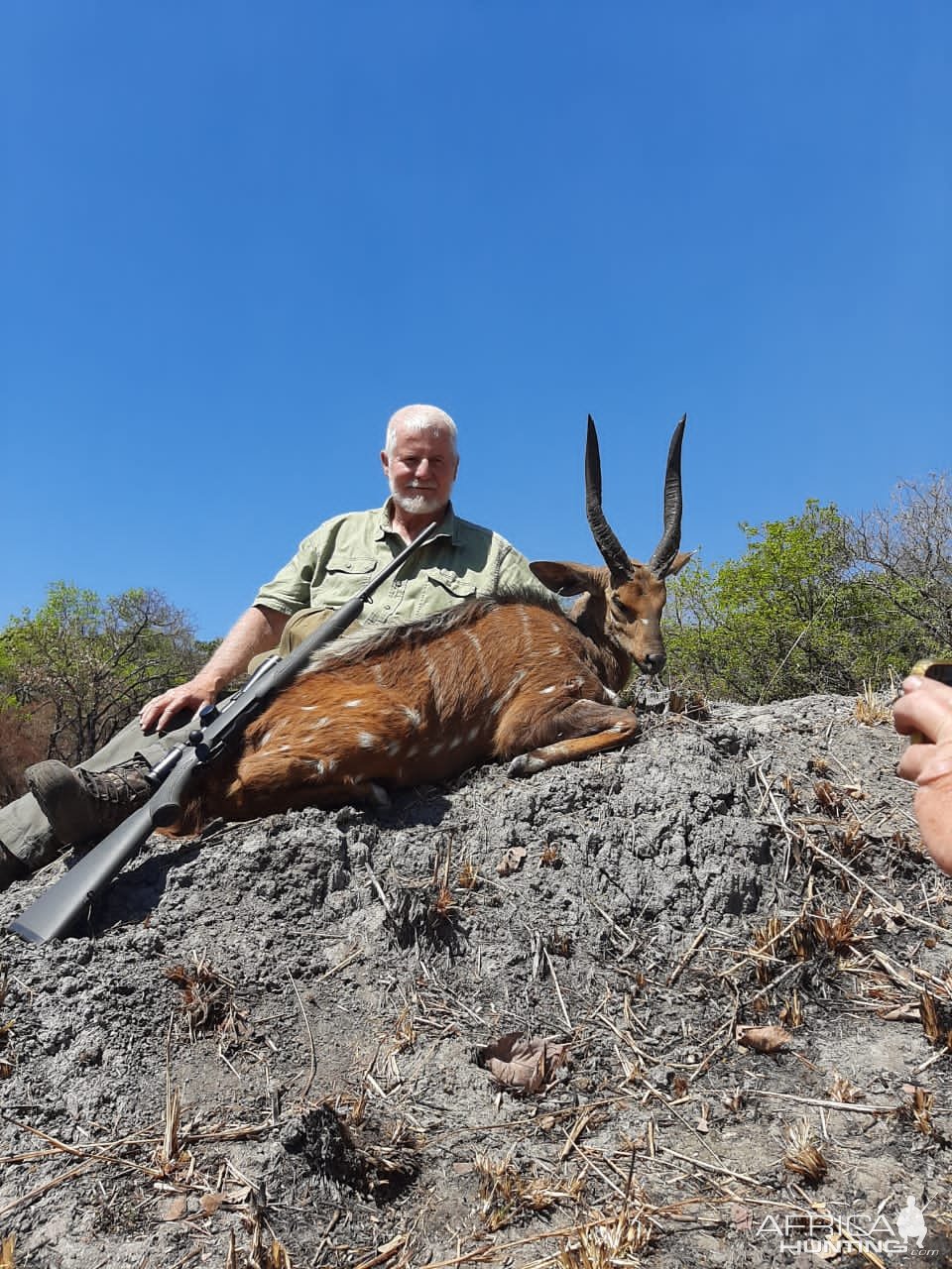 Bushbuck Hunt Zambia