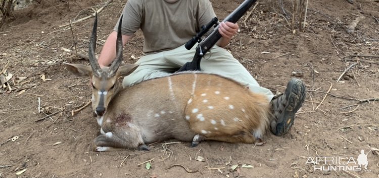 Bushbuck Hunt Zimbabwe