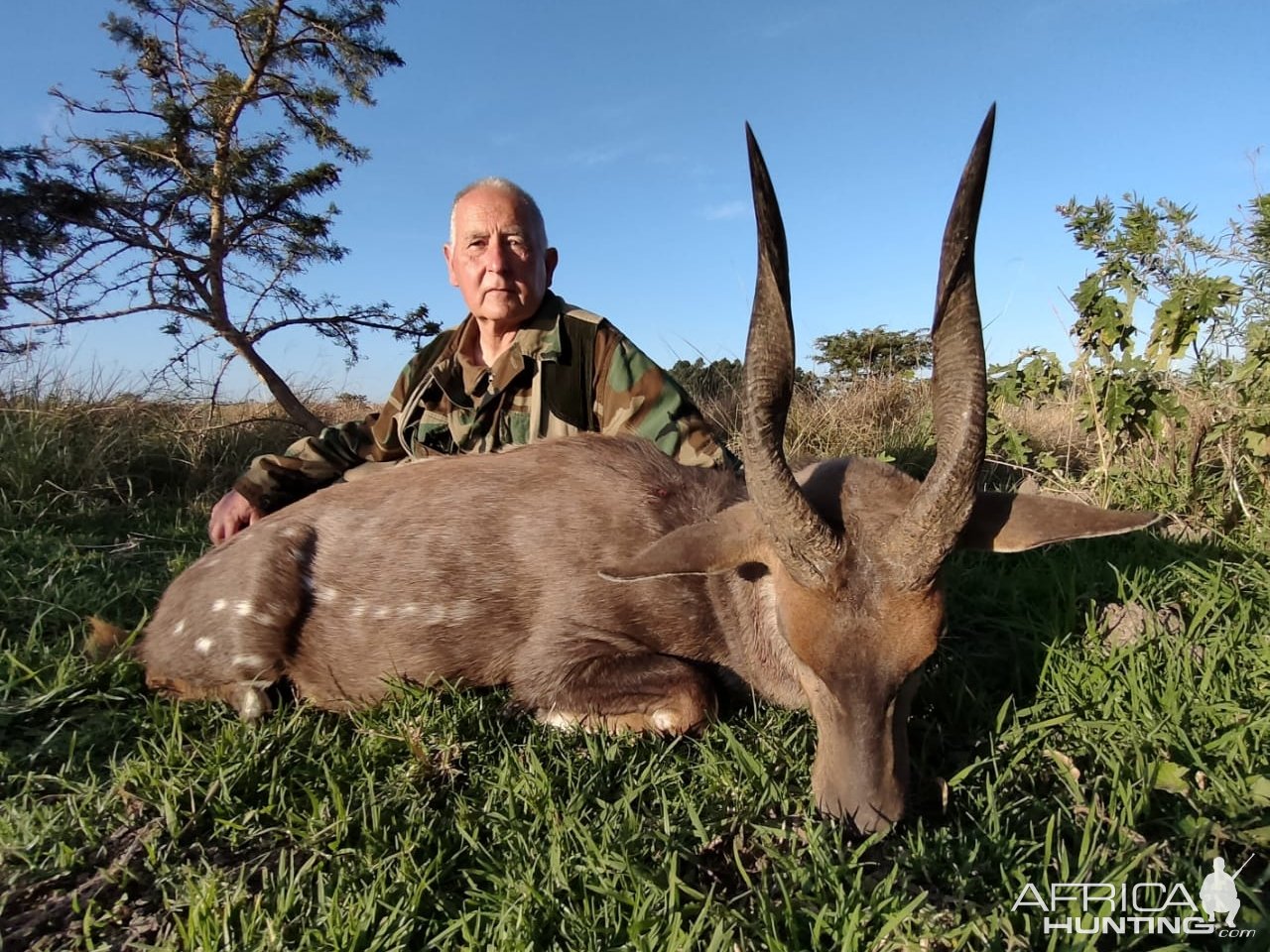 Bushbuck Hunting Eastern Cape South Africa