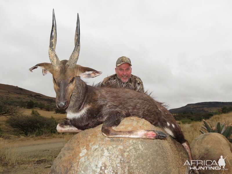 Bushbuck  Hunting in Namibia