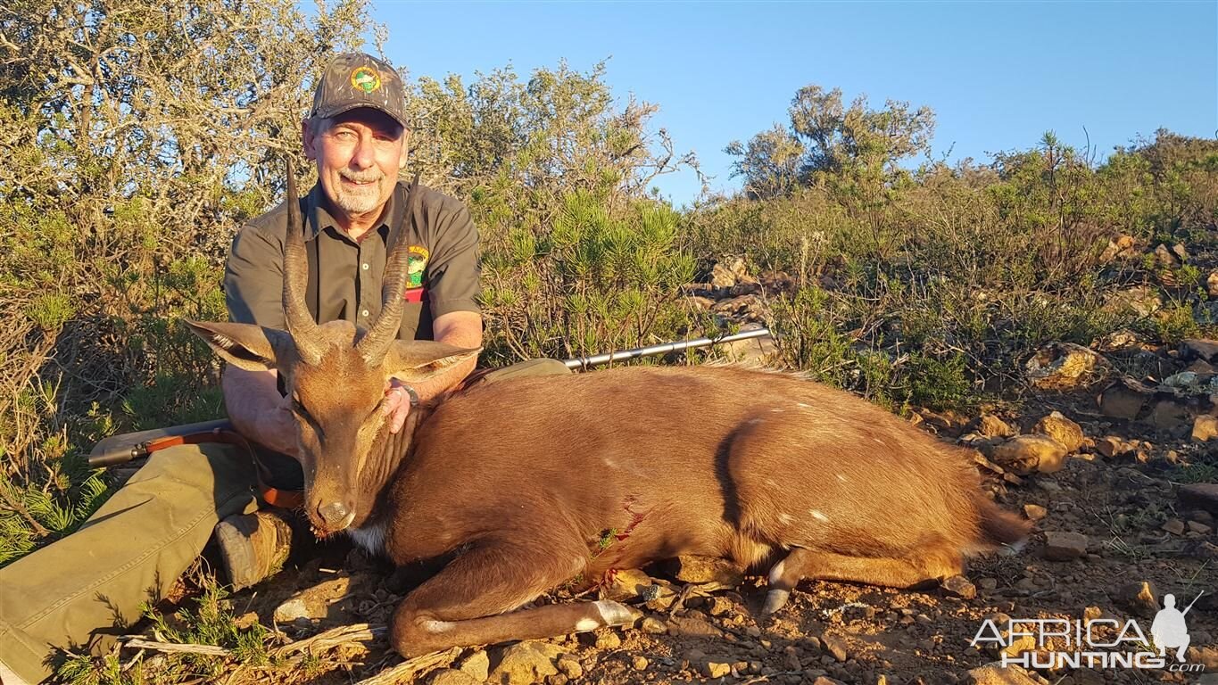 Bushbuck Hunting in South Africa